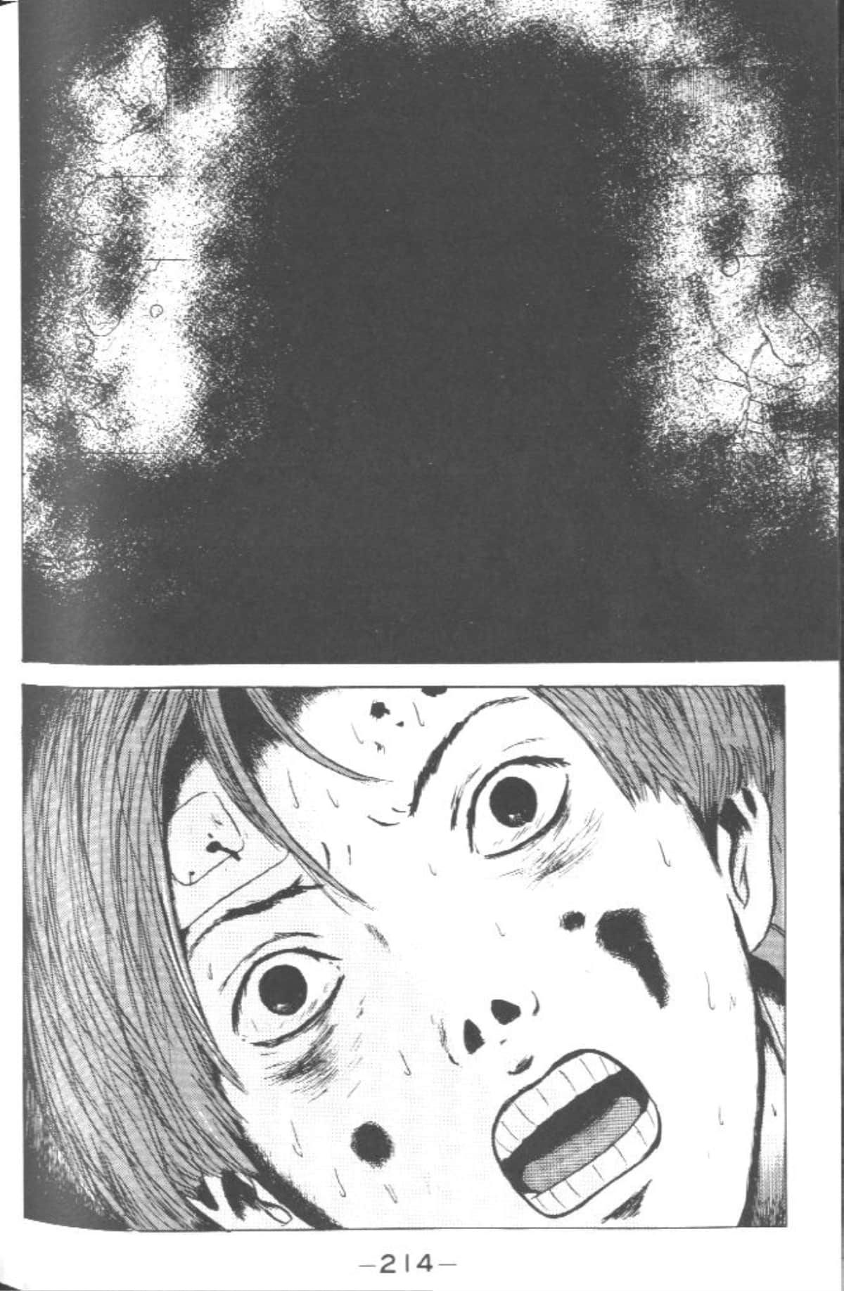 Page 213