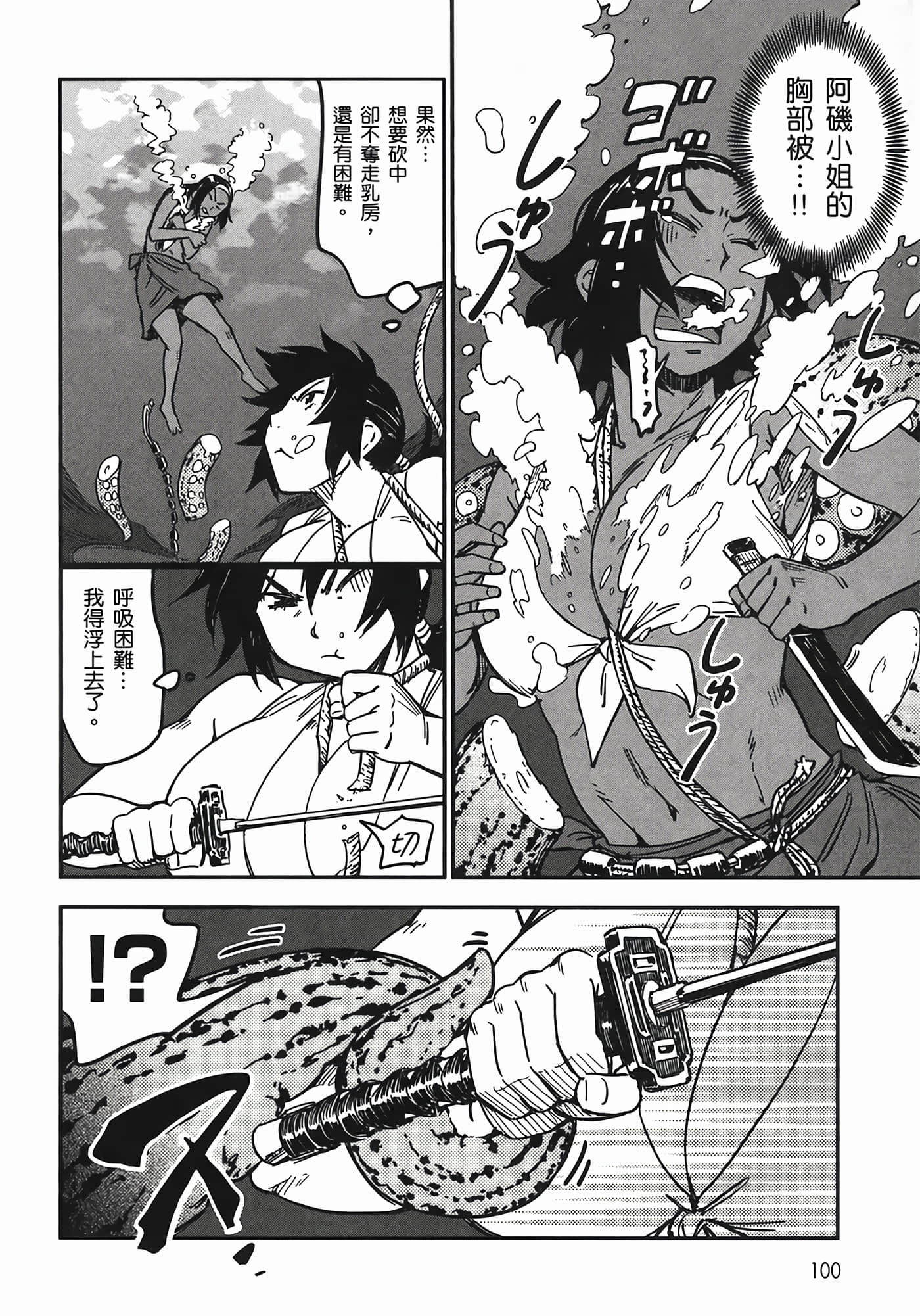 Page 101