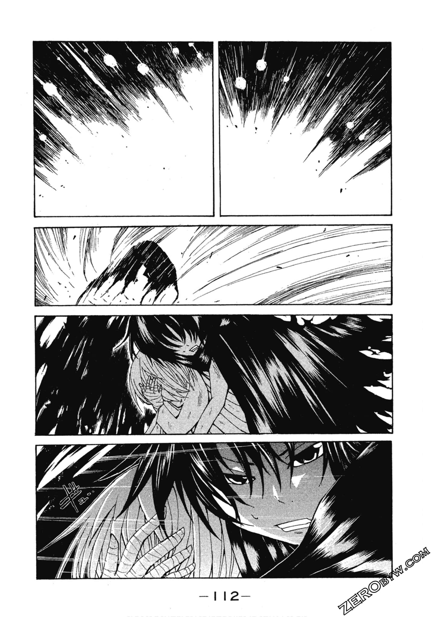 Page 113