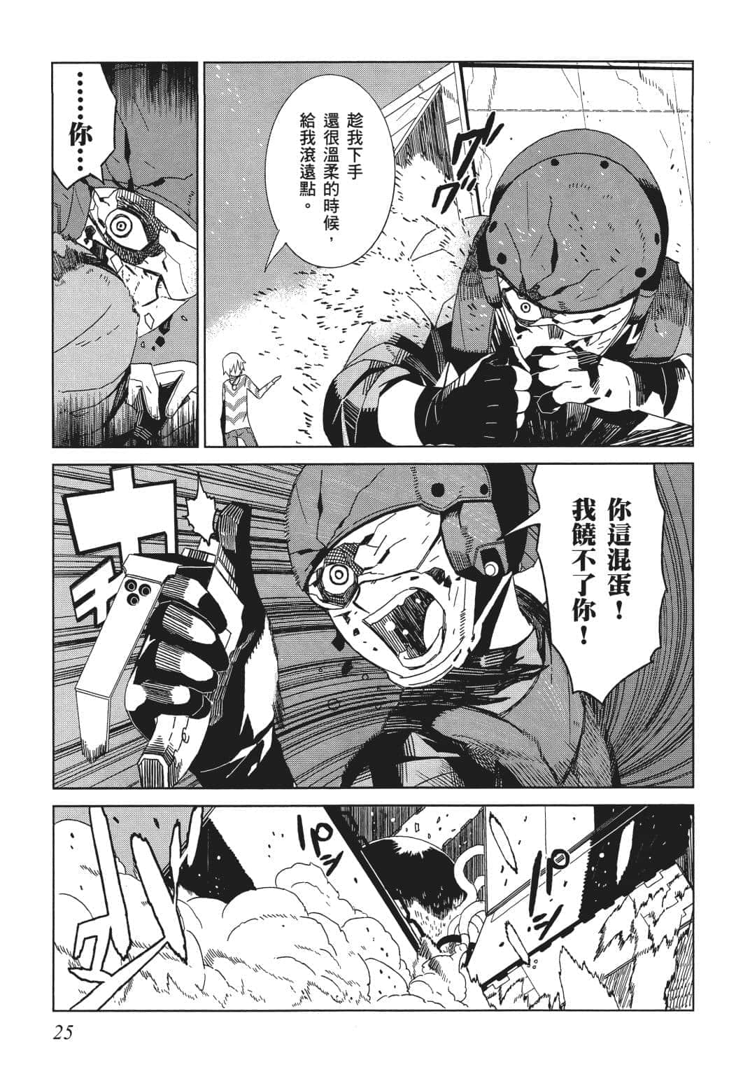 Page 25