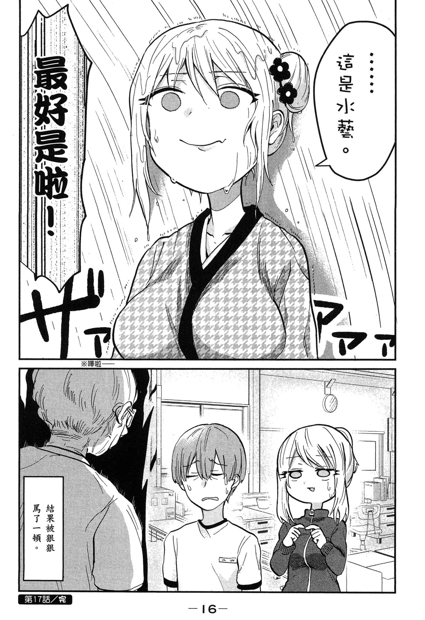 第 17 页