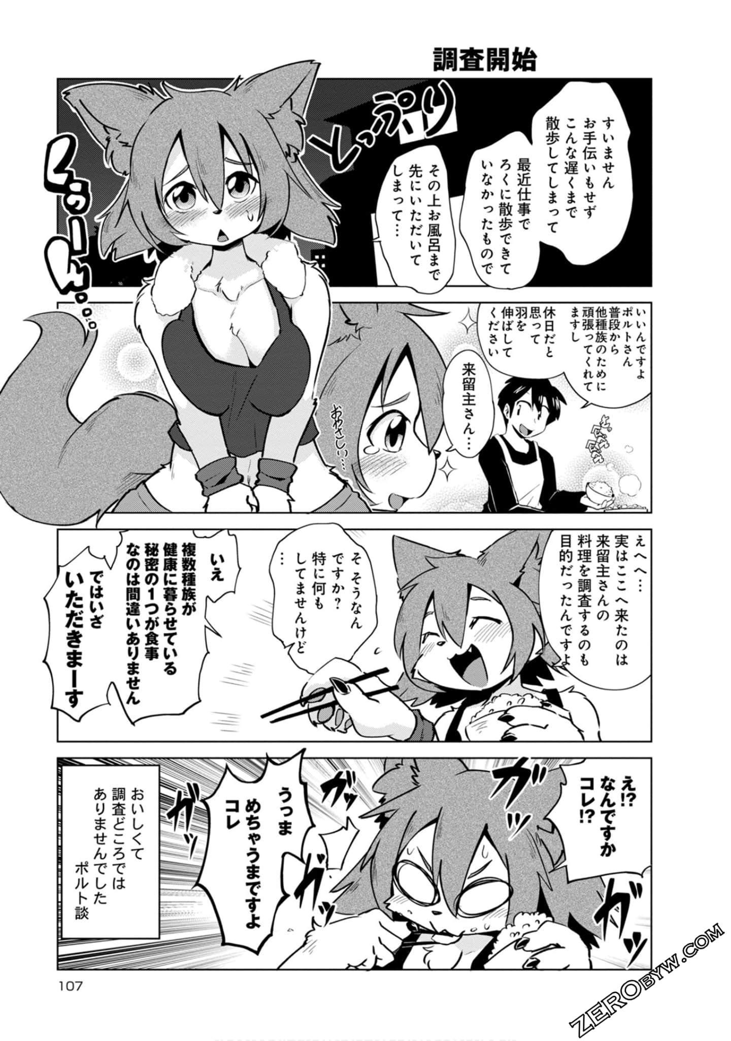 Page 107