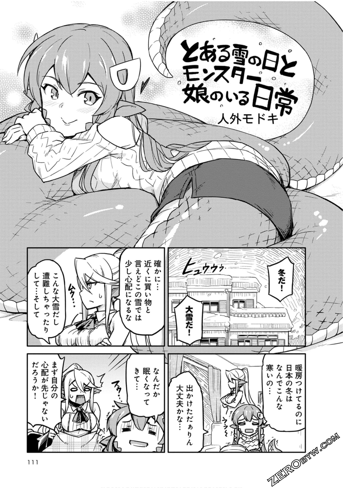 Page 111