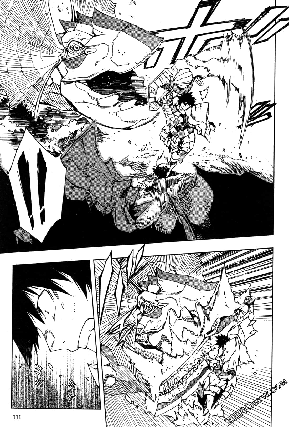 Page 113