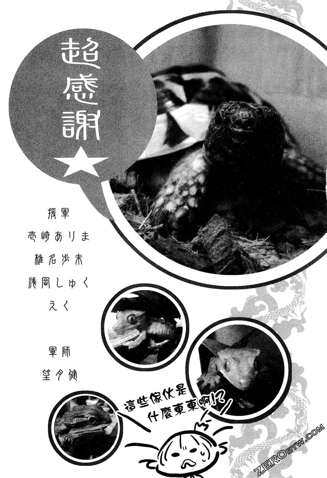 Page 196