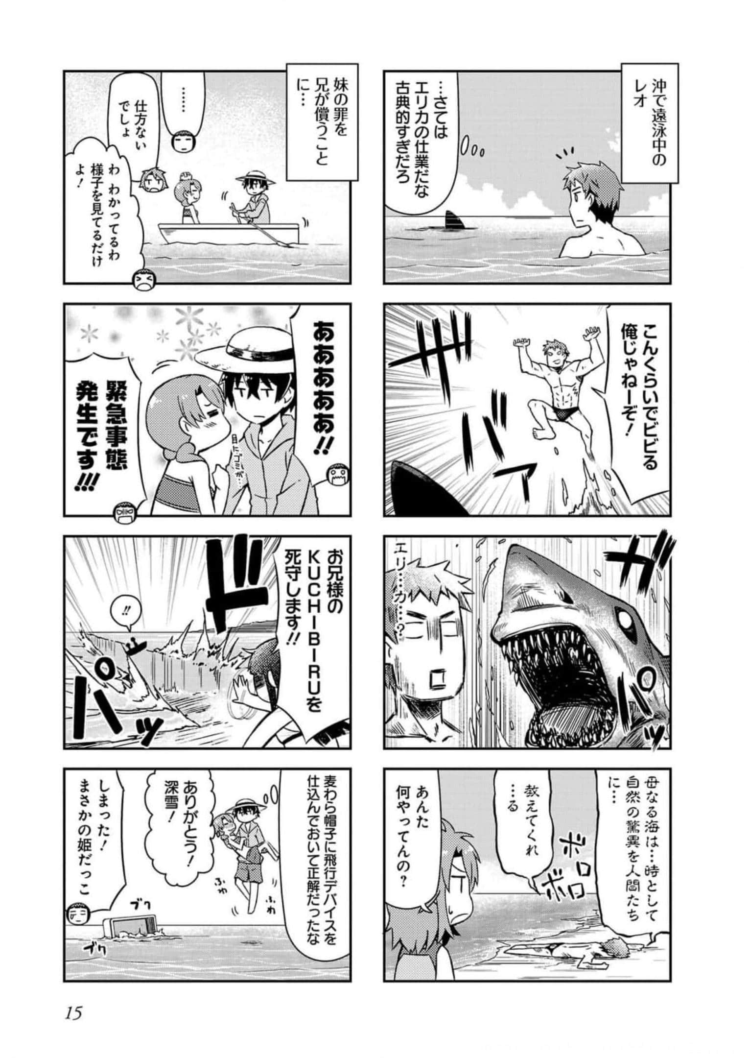 第 17 页