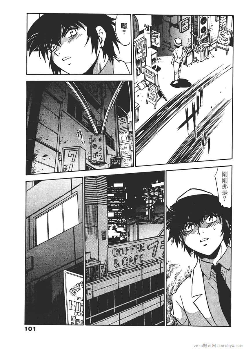Page 101