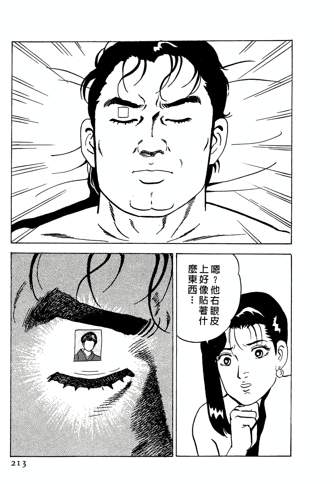 Page 213