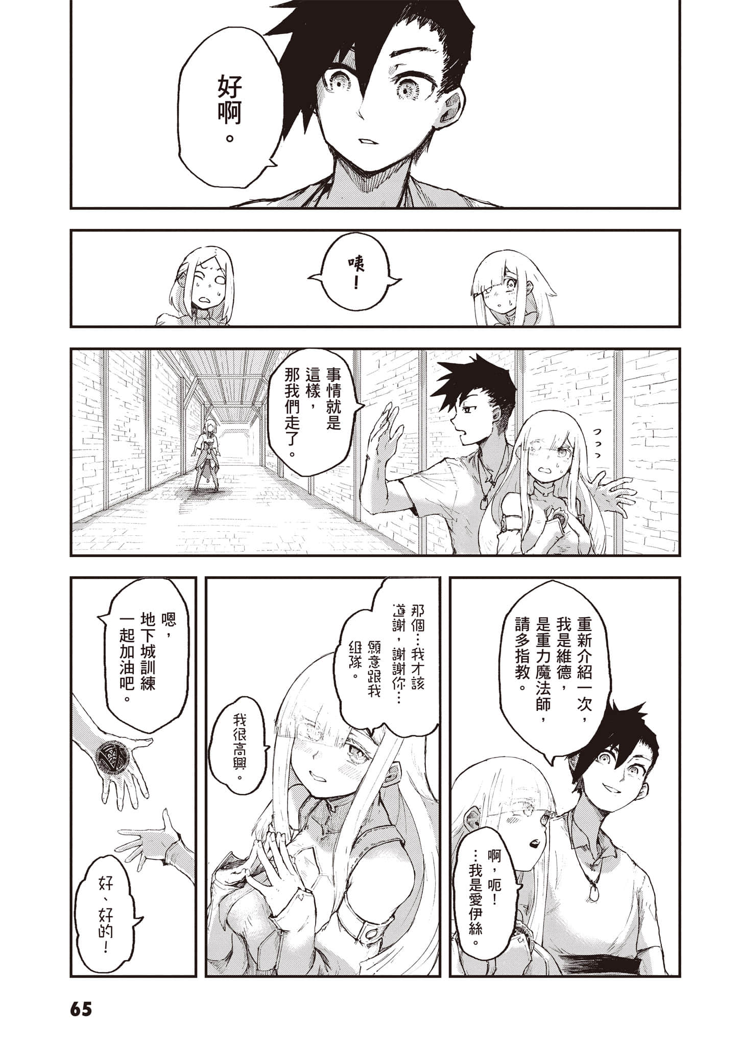 第 66 页