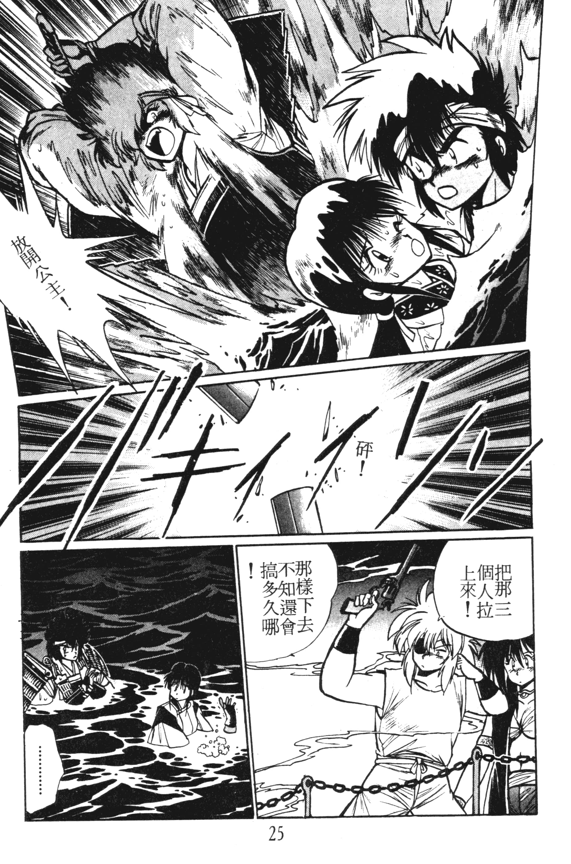 第 25 页