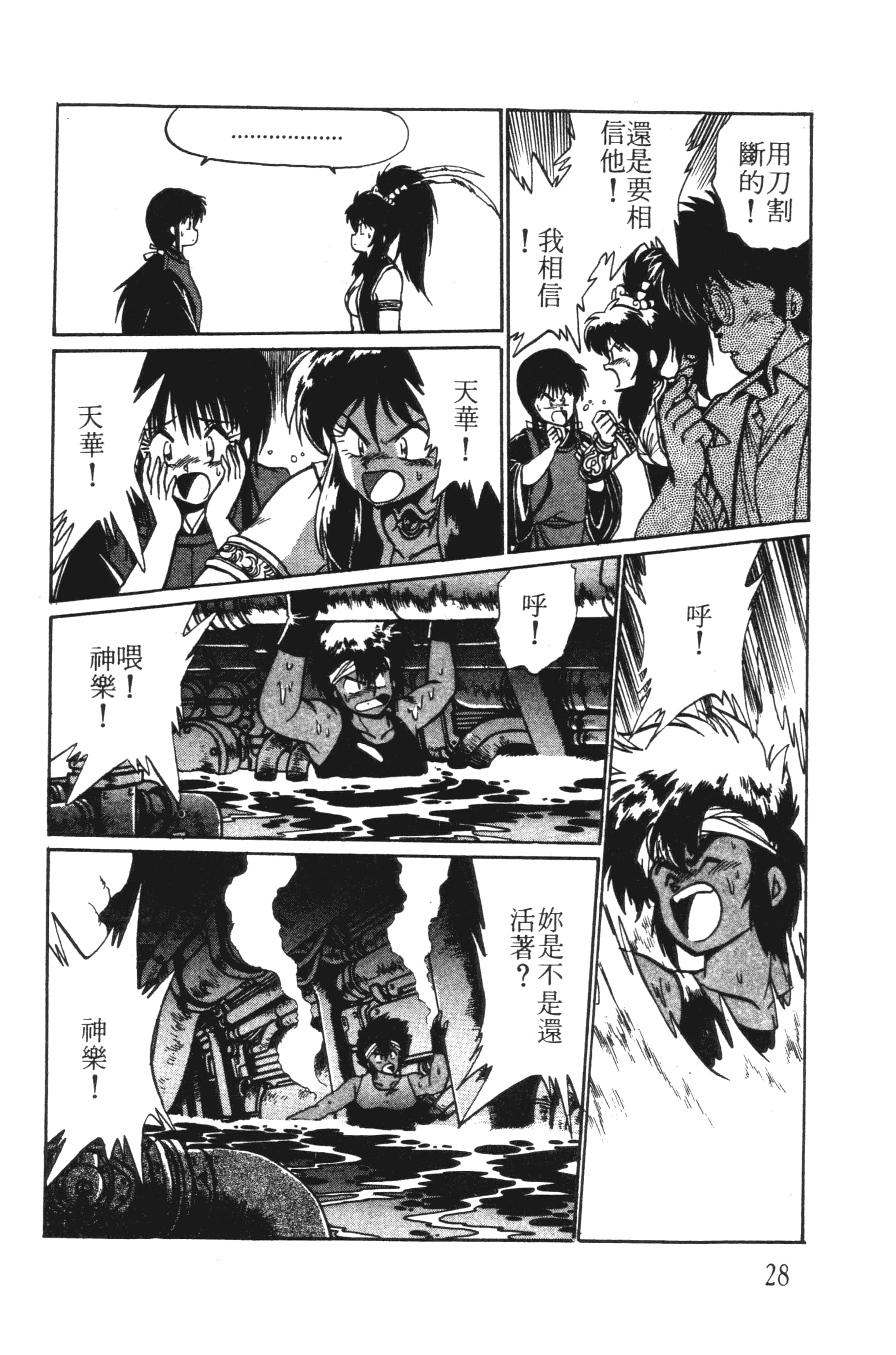 第 28 页