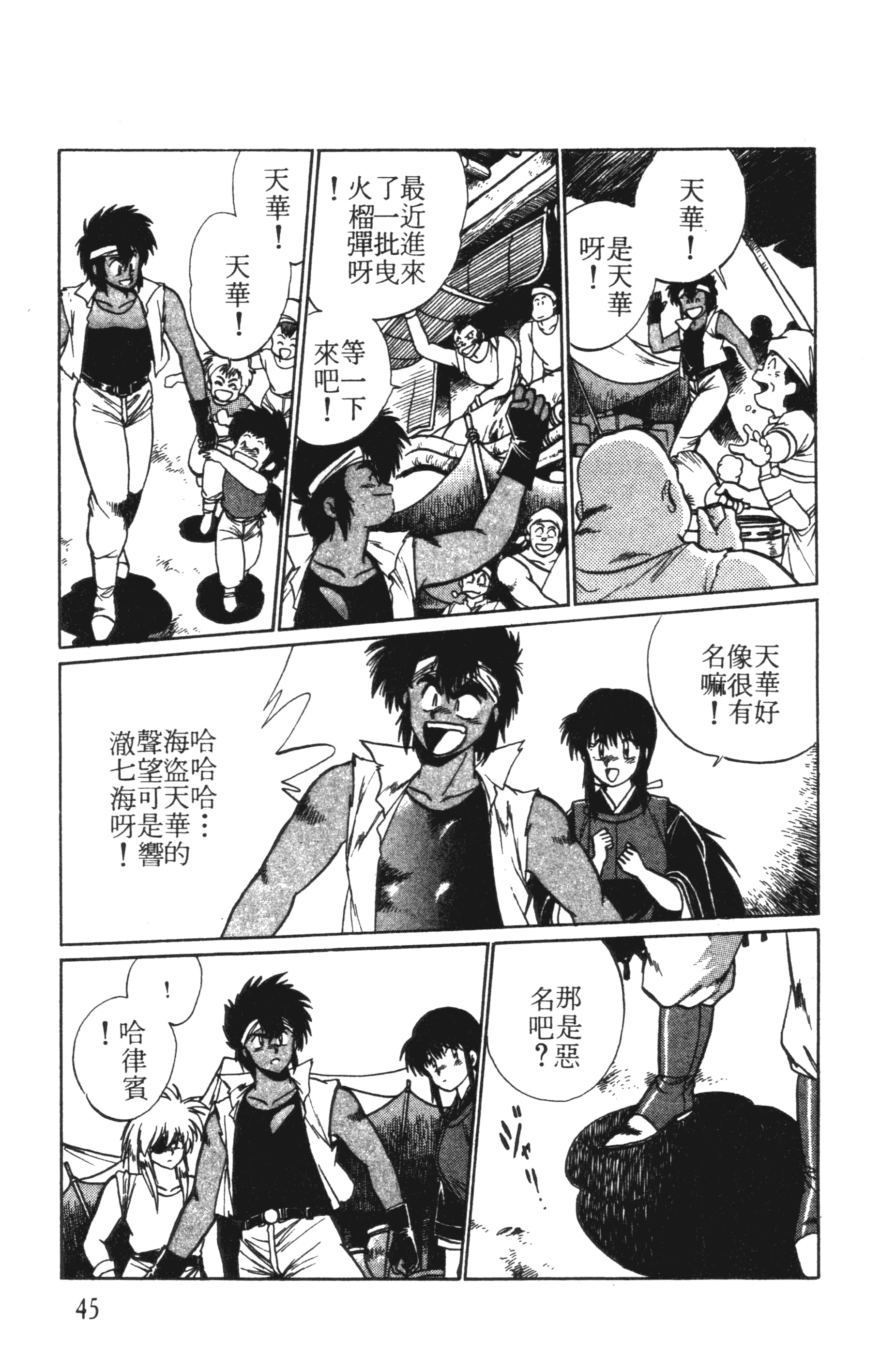 第 45 页