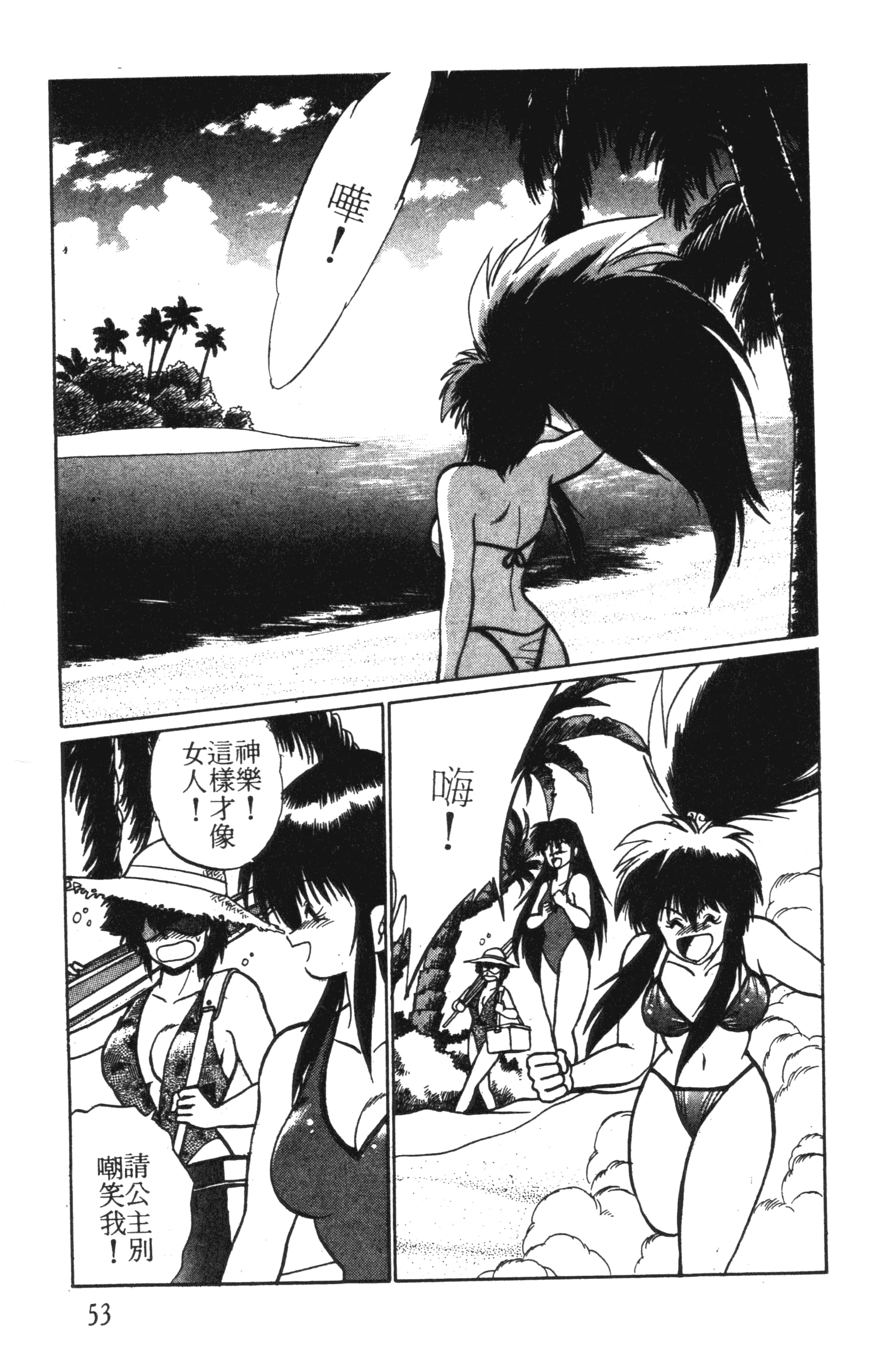 第 53 页