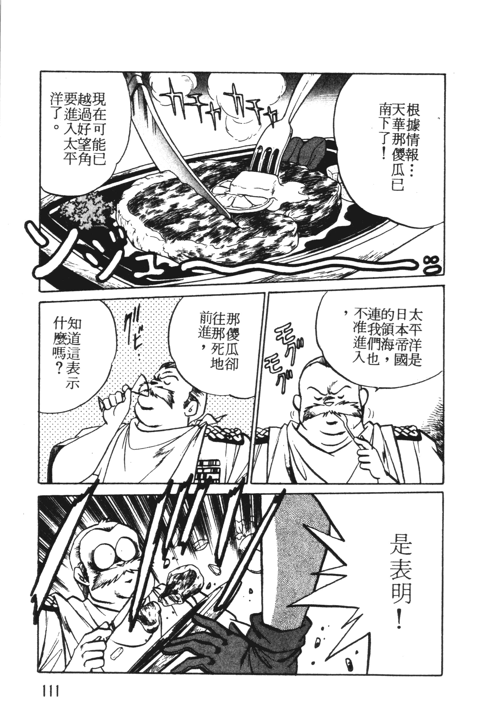 第 111 页