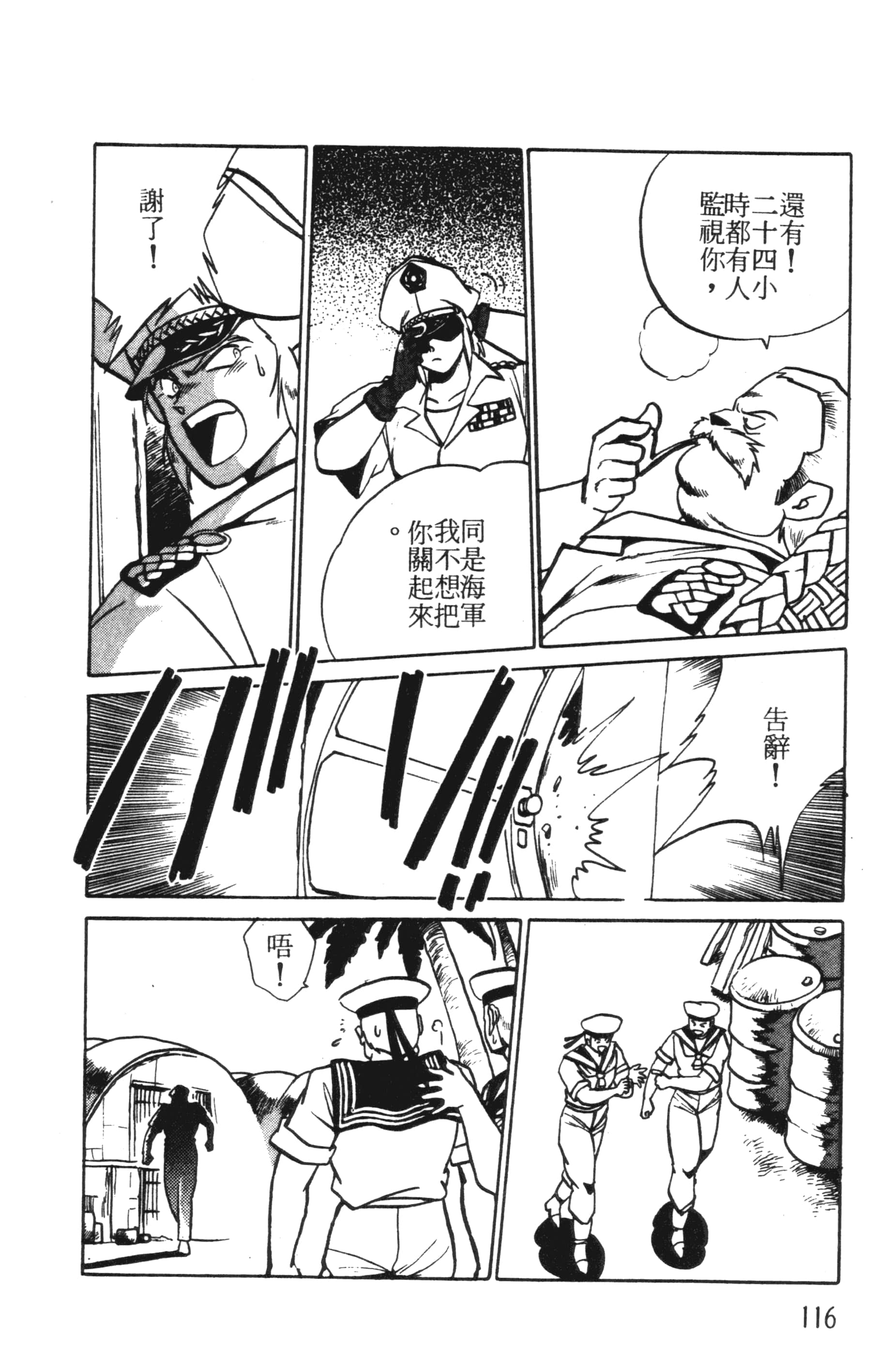 第 116 页
