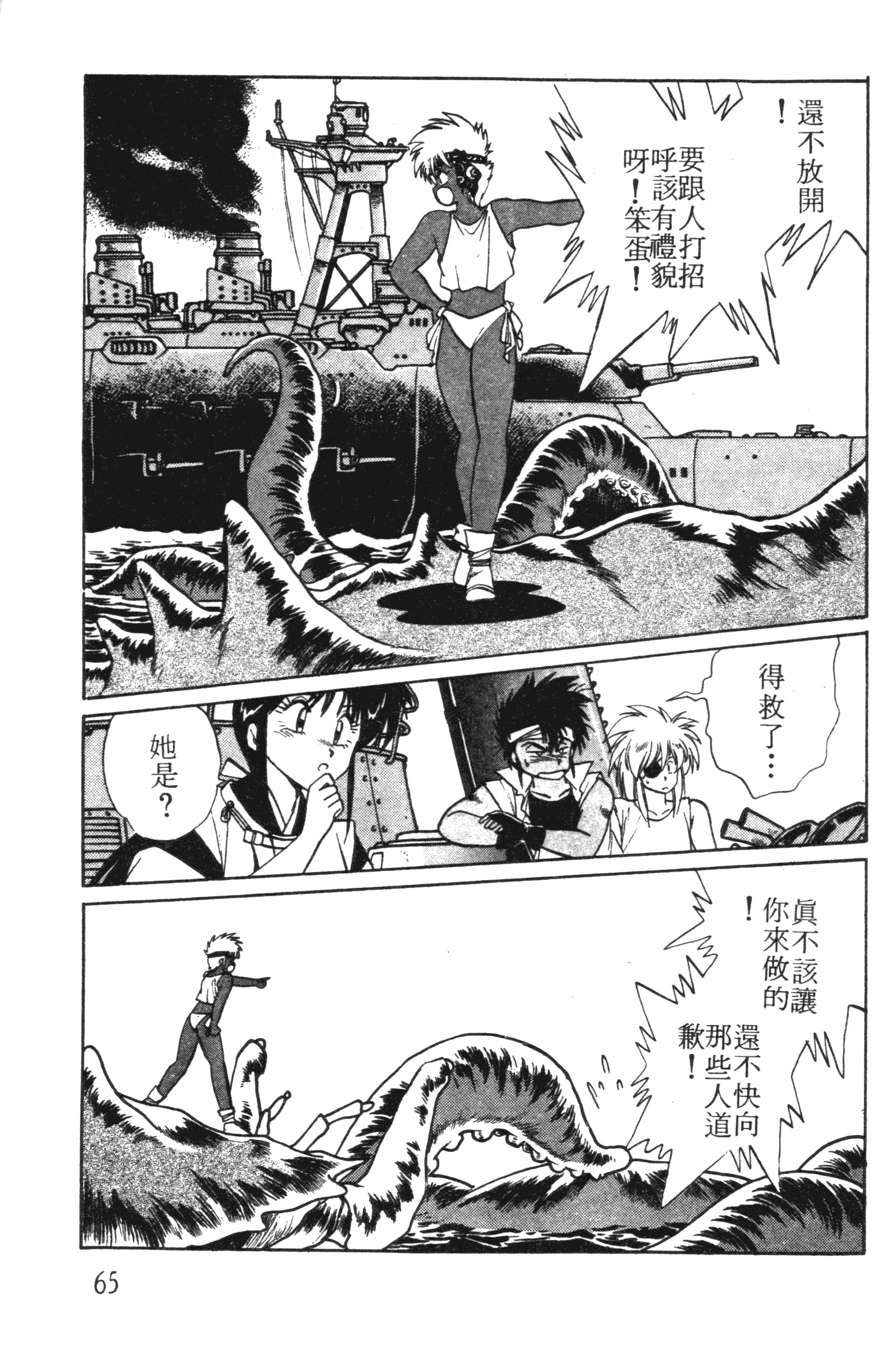 第 65 页