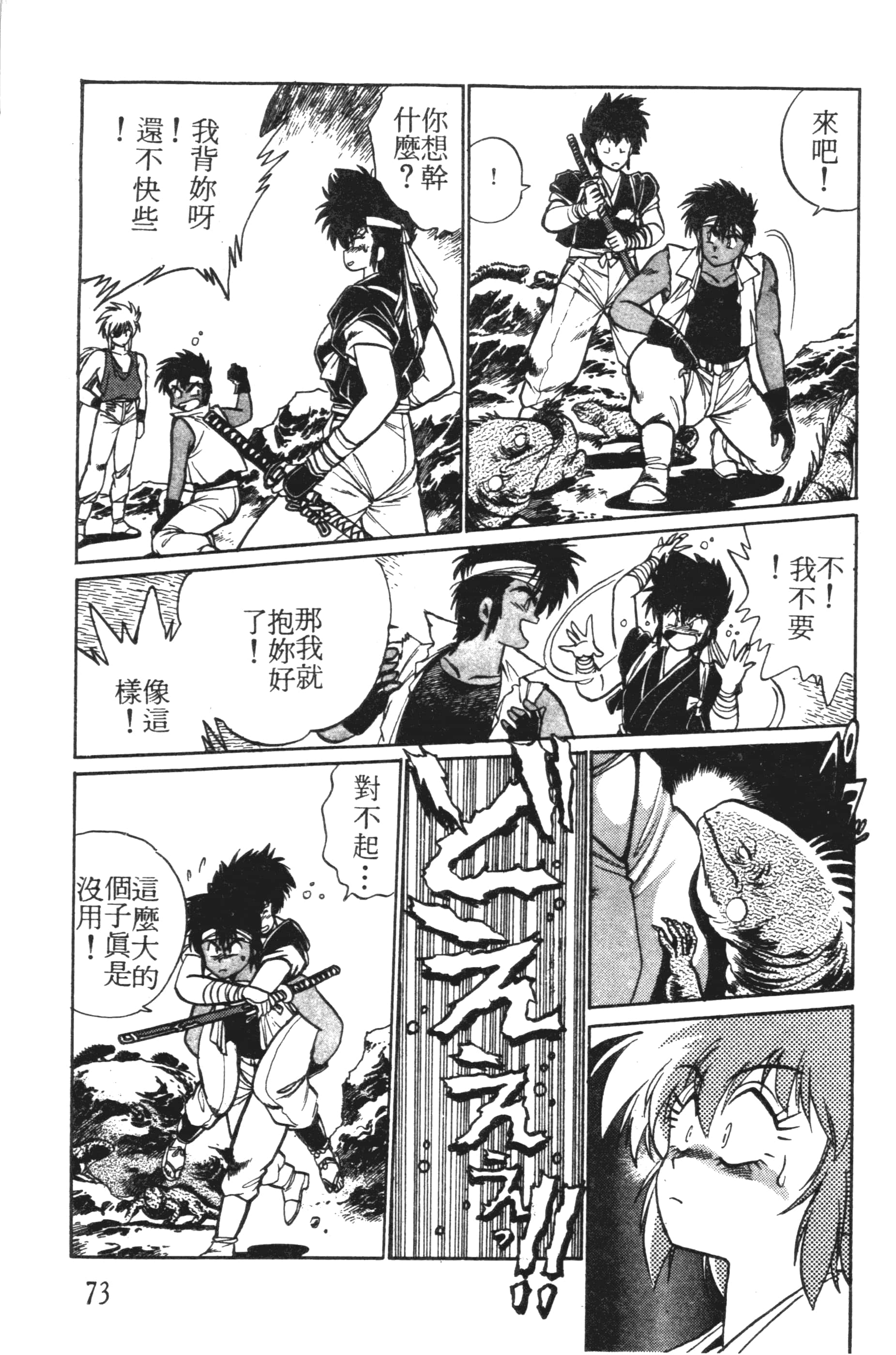 第 73 页