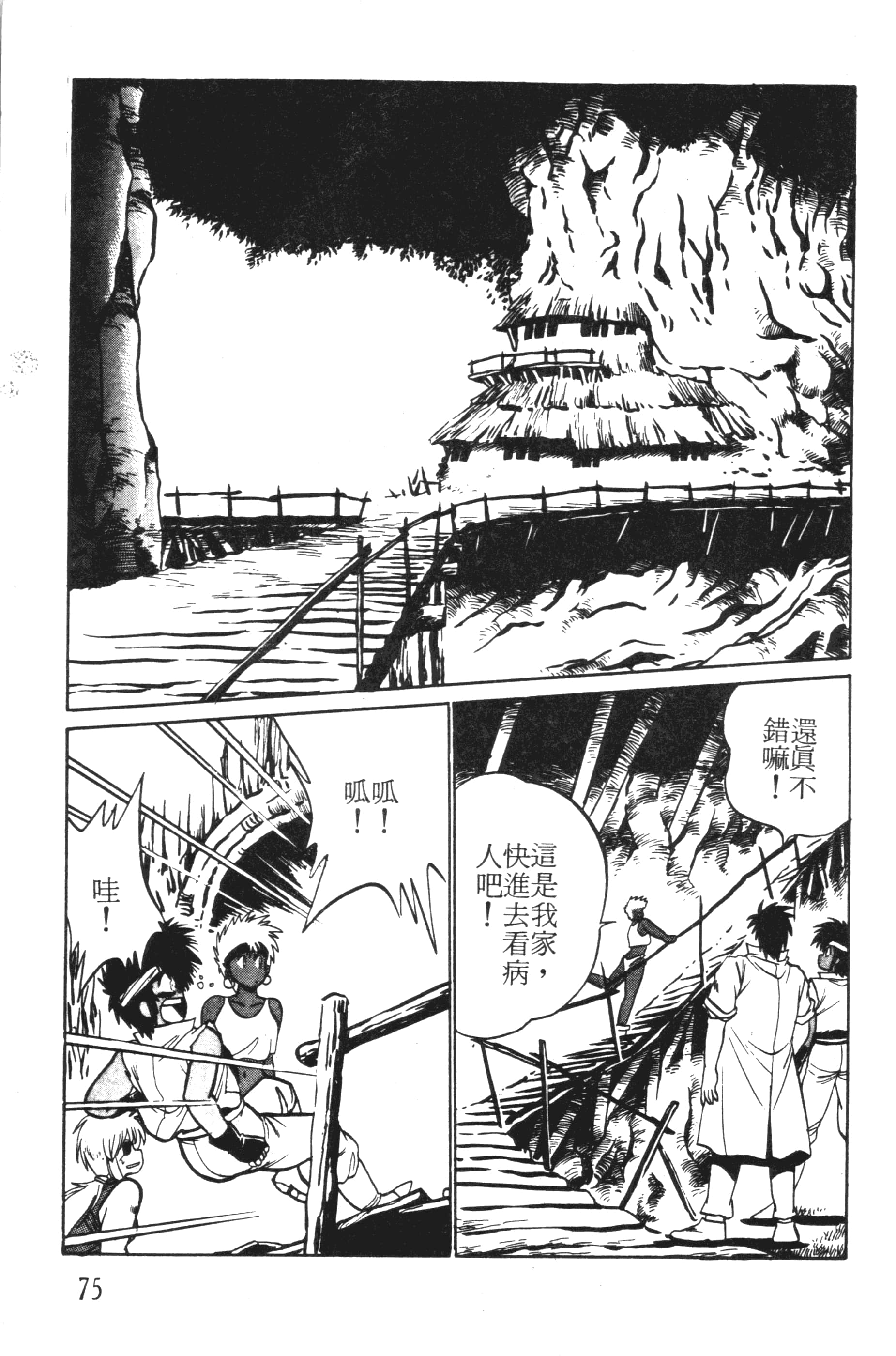 第 75 页