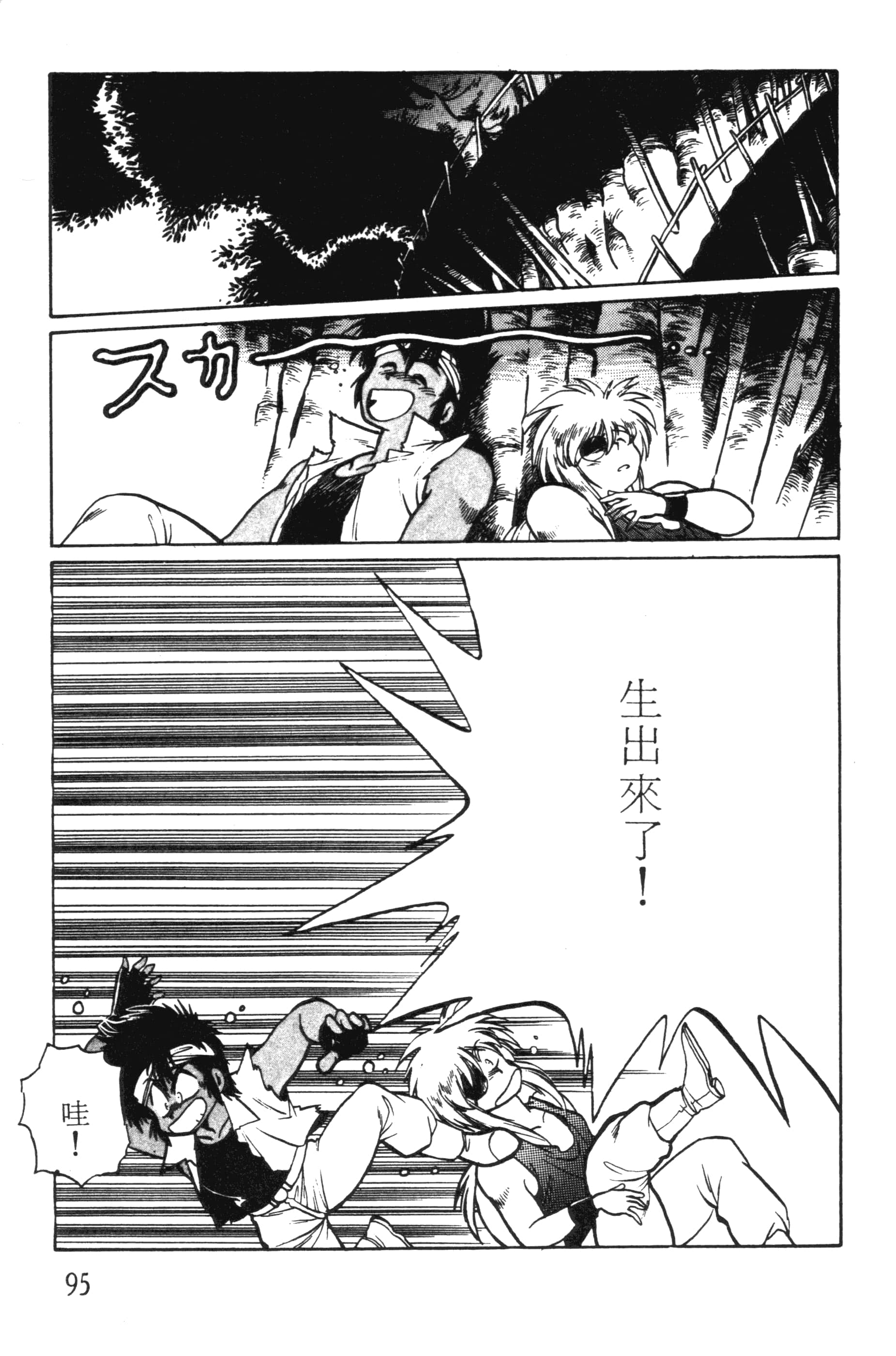 第 95 页