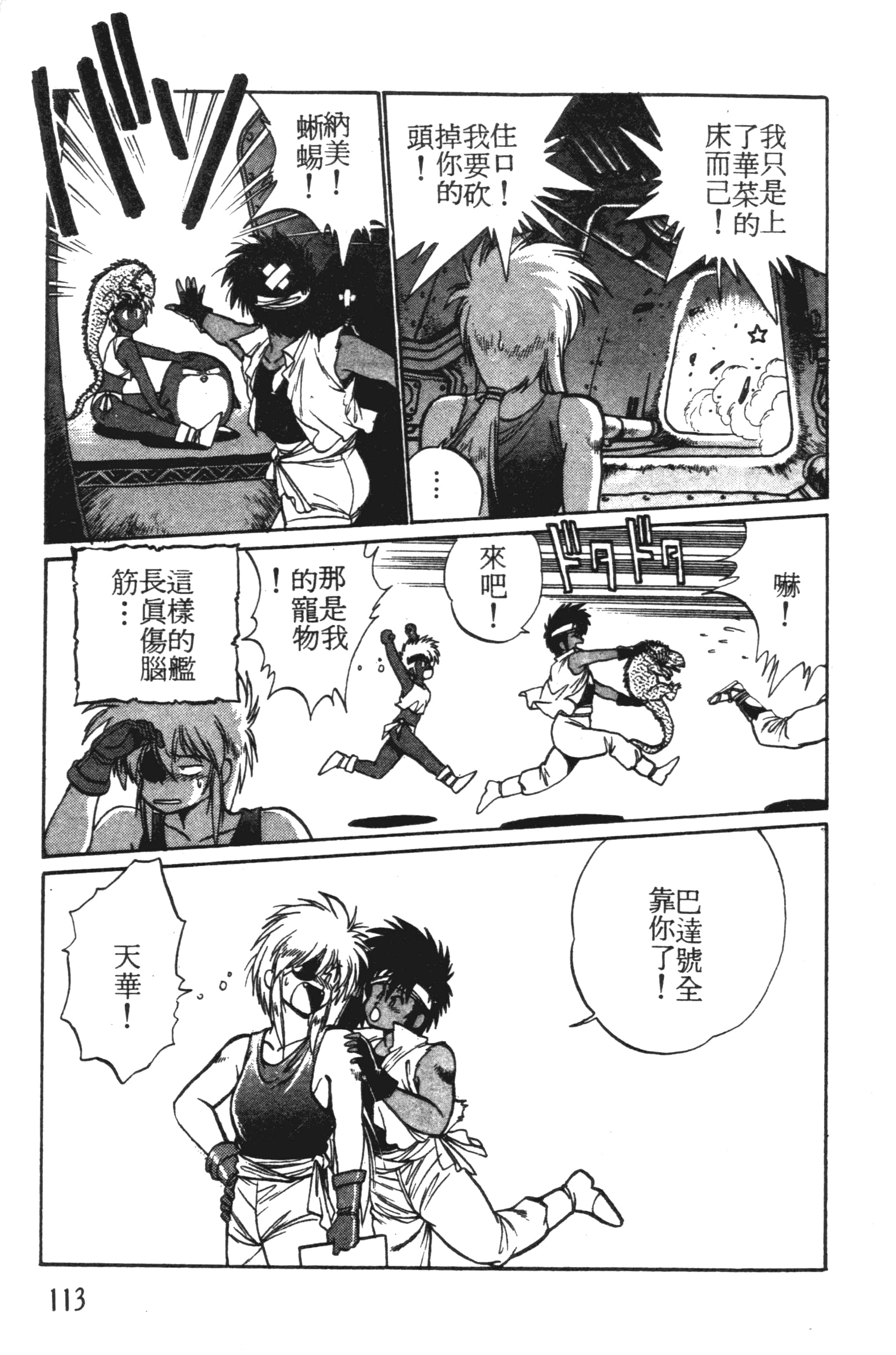 第 113 页