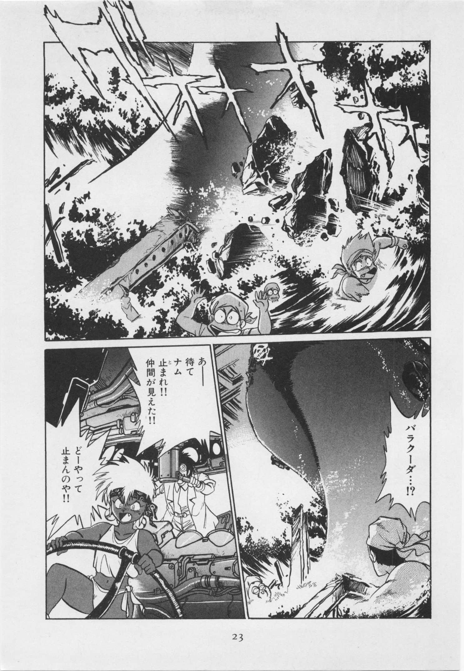 第 30 页
