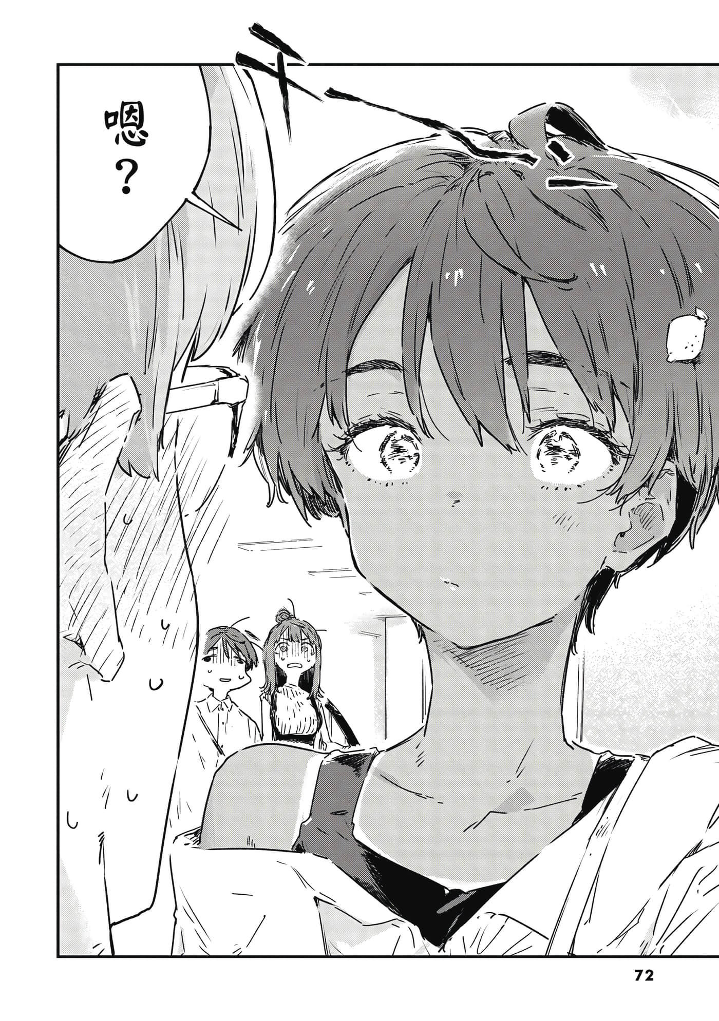 第 73 页