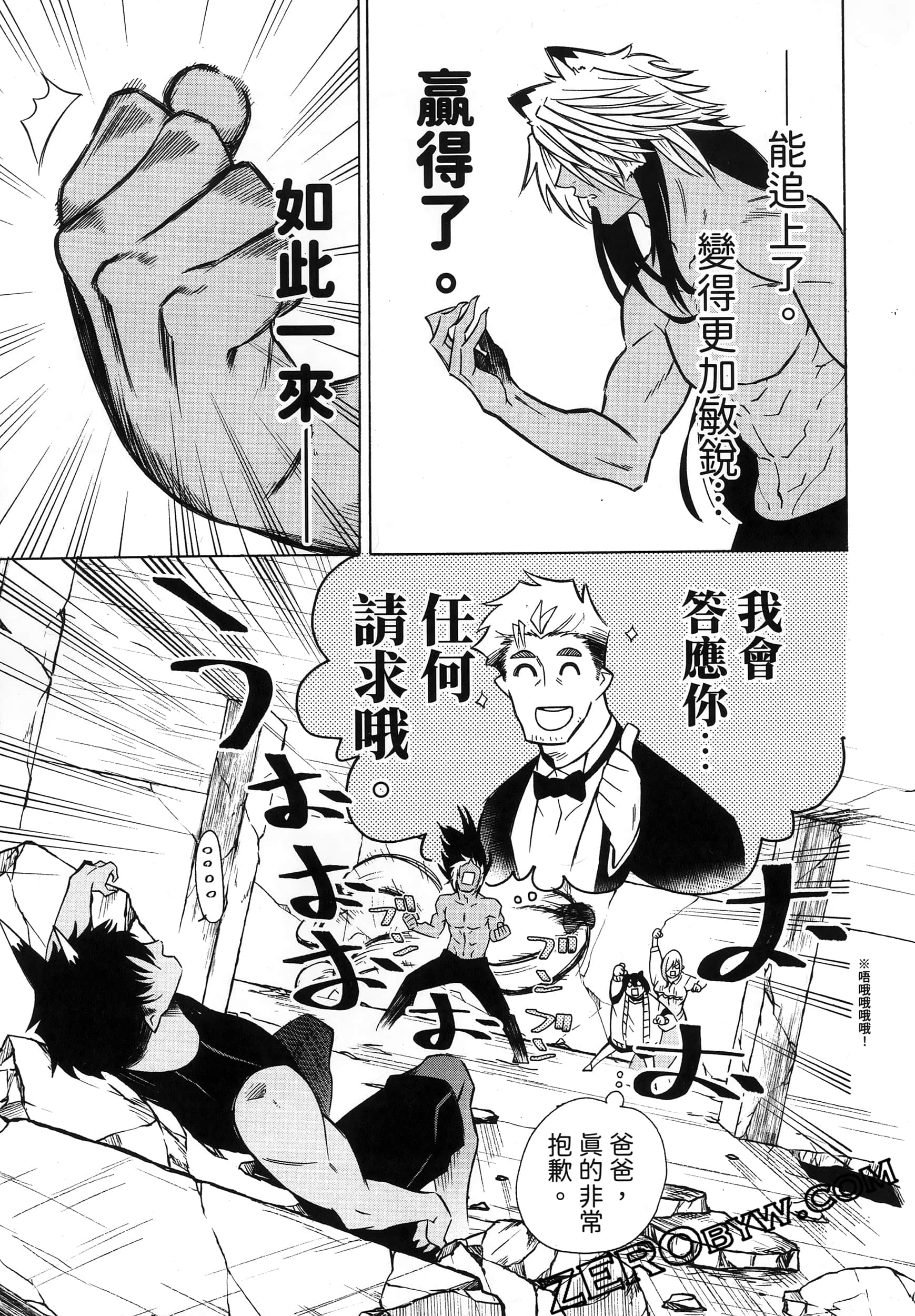 第 95 页
