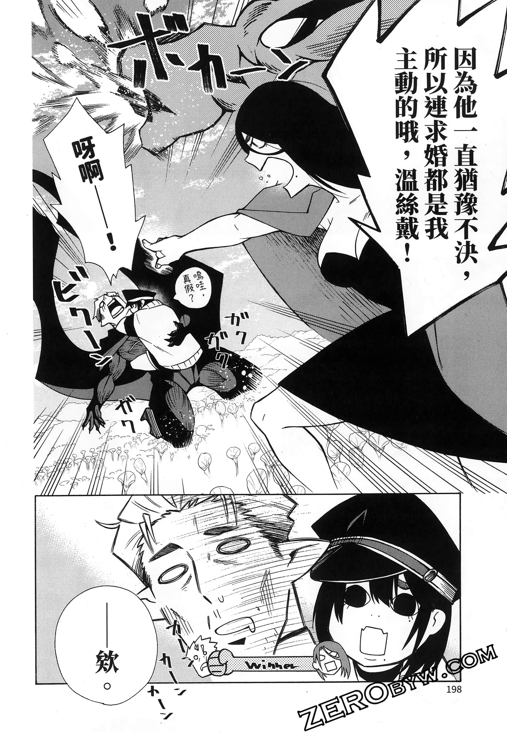 第 202 页