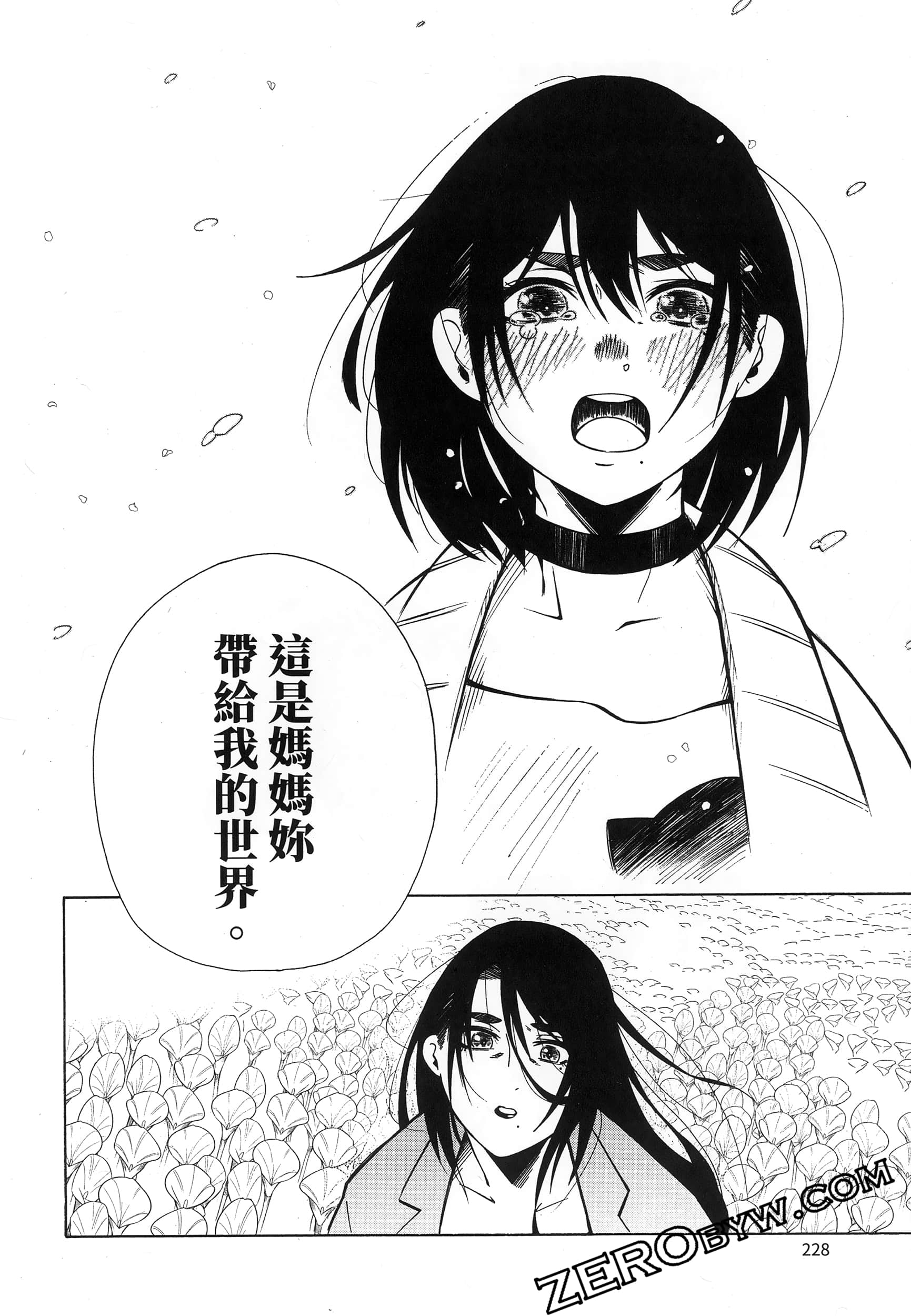 第 232 页