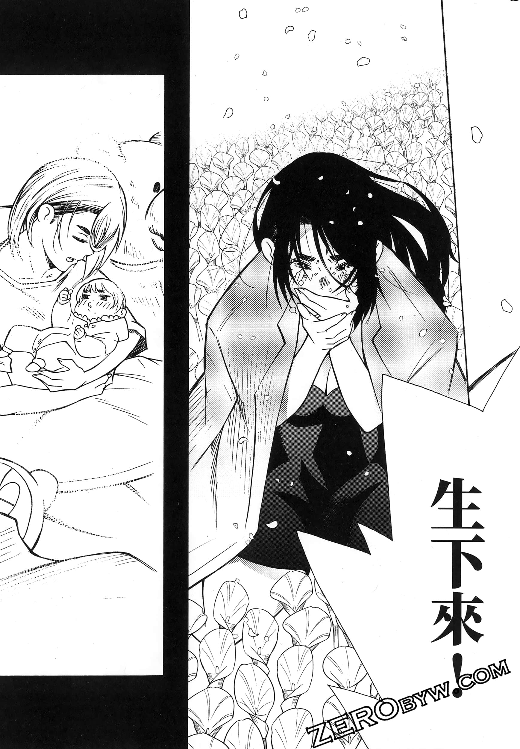 第 237 页