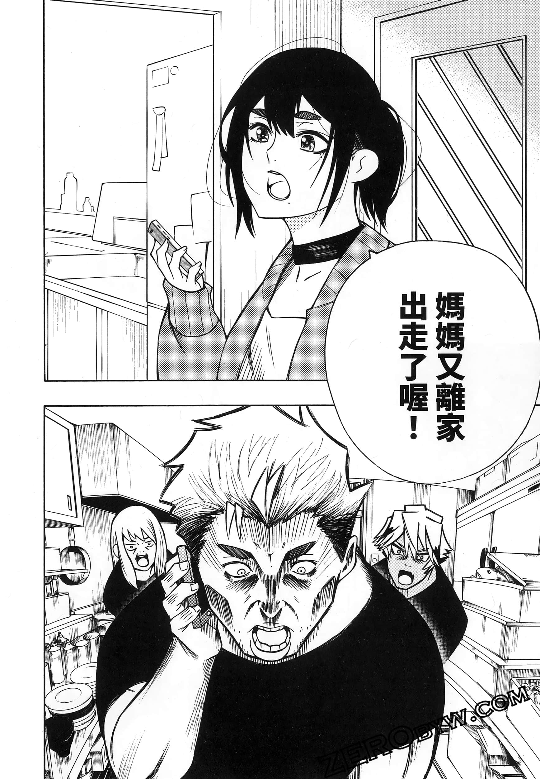 第 248 页