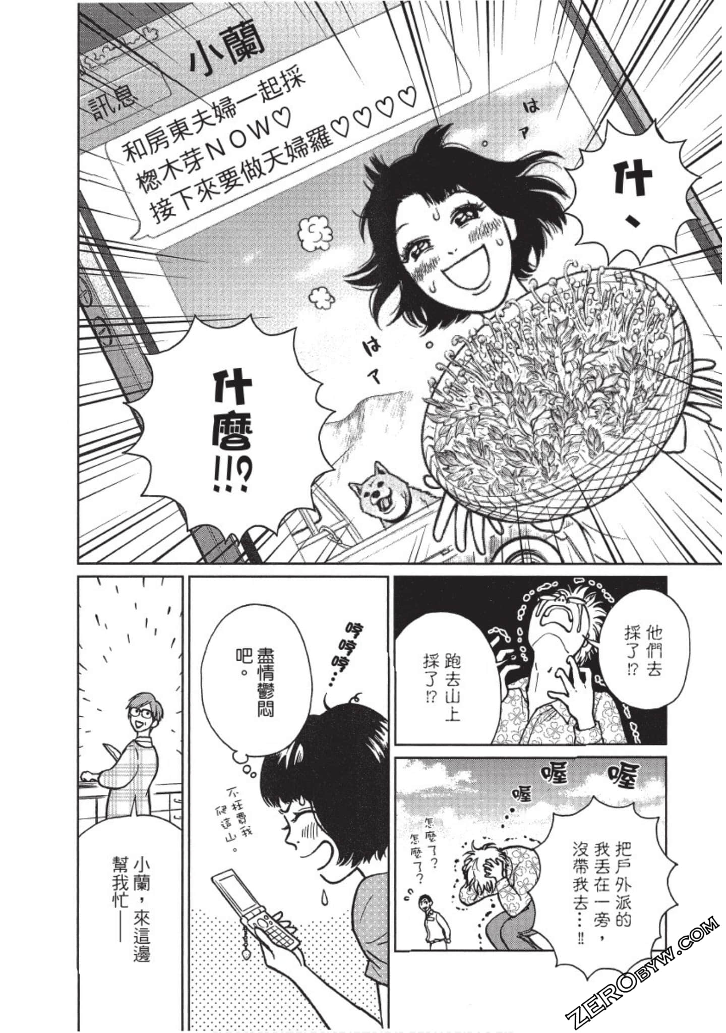 Page 63