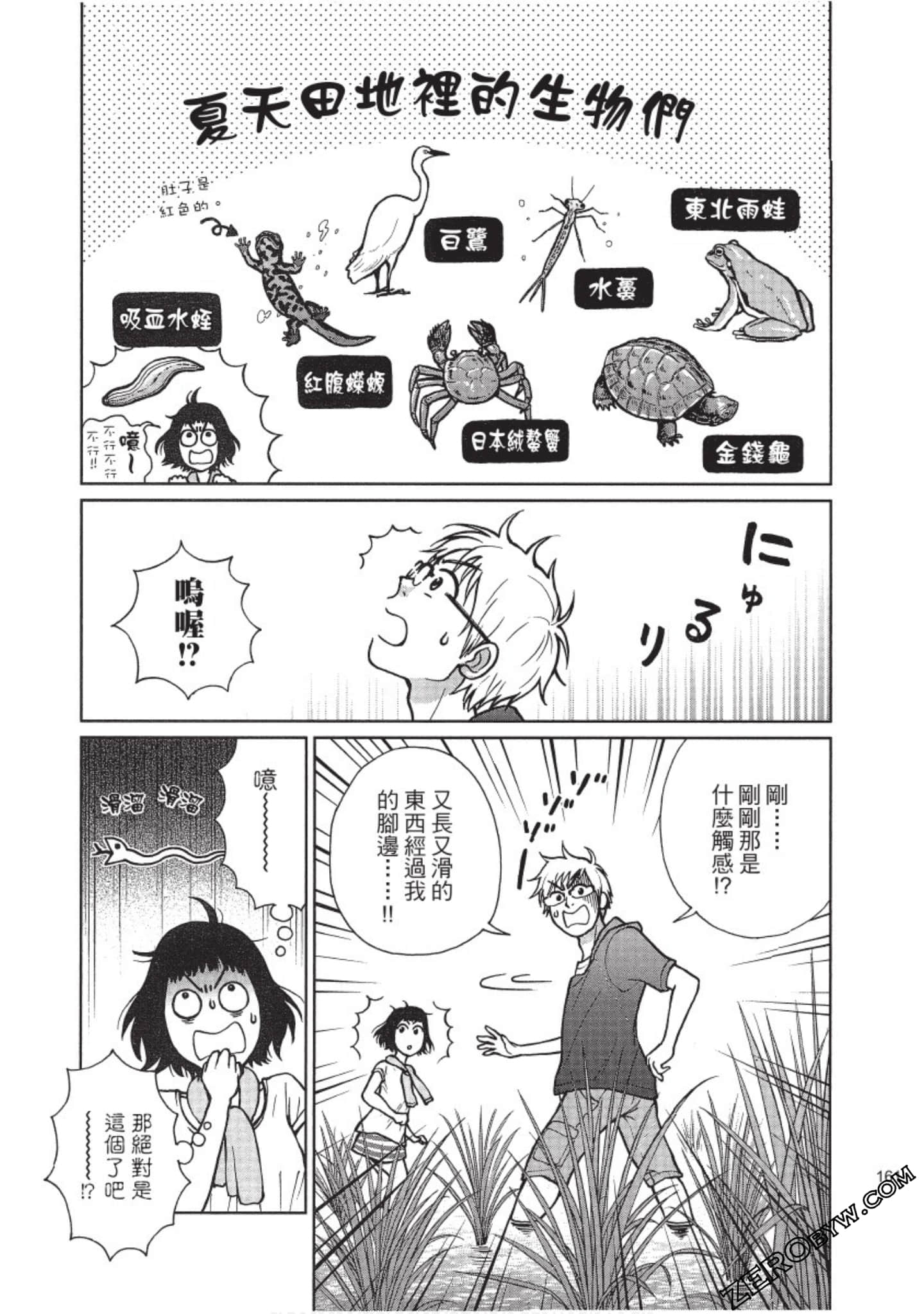 Page 162