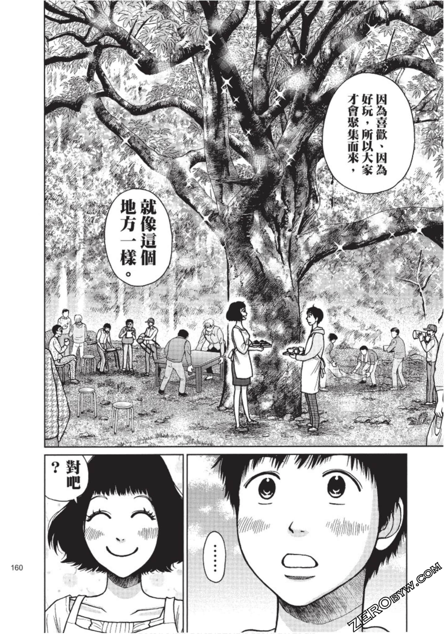 Page 161