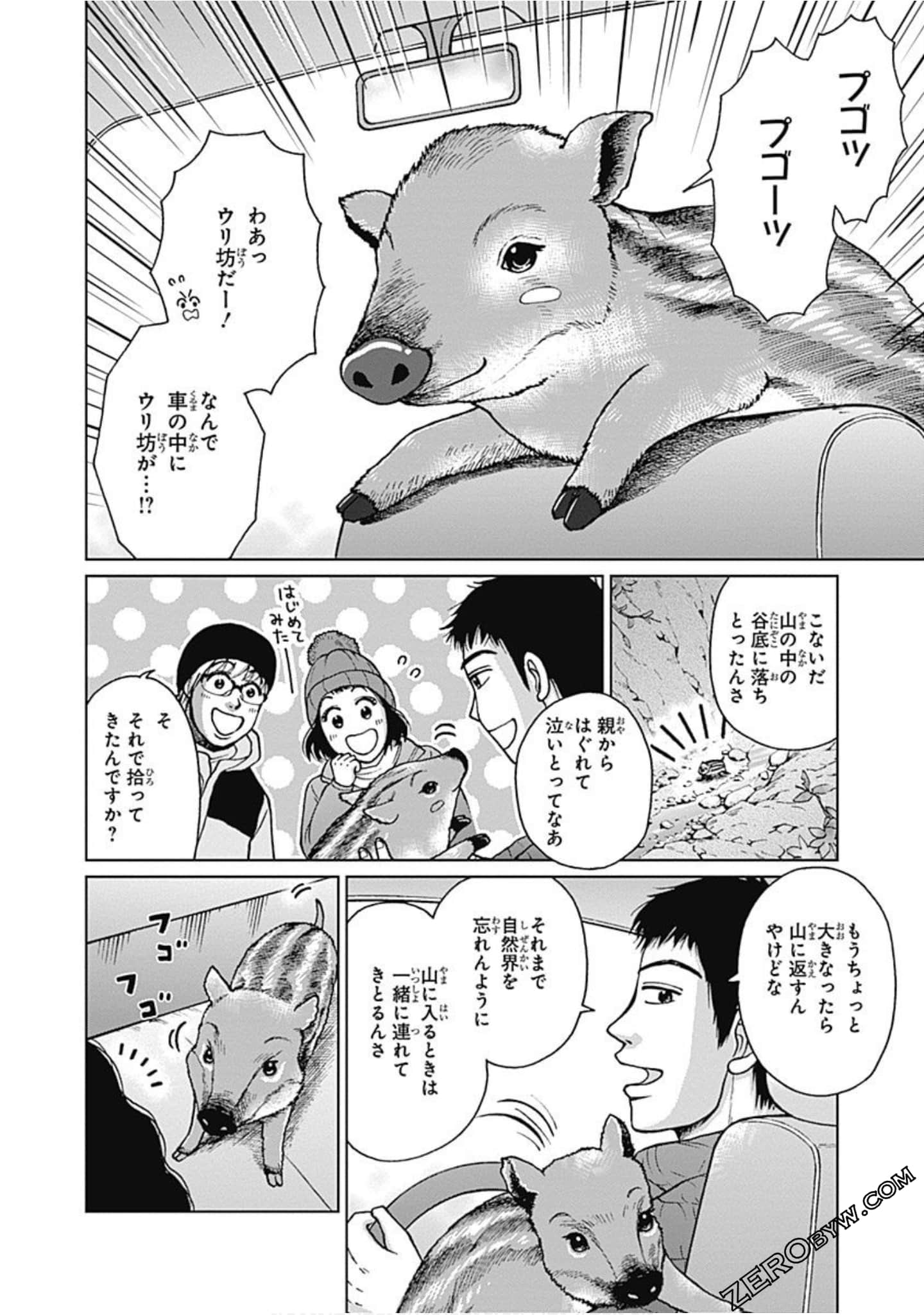 Page 137