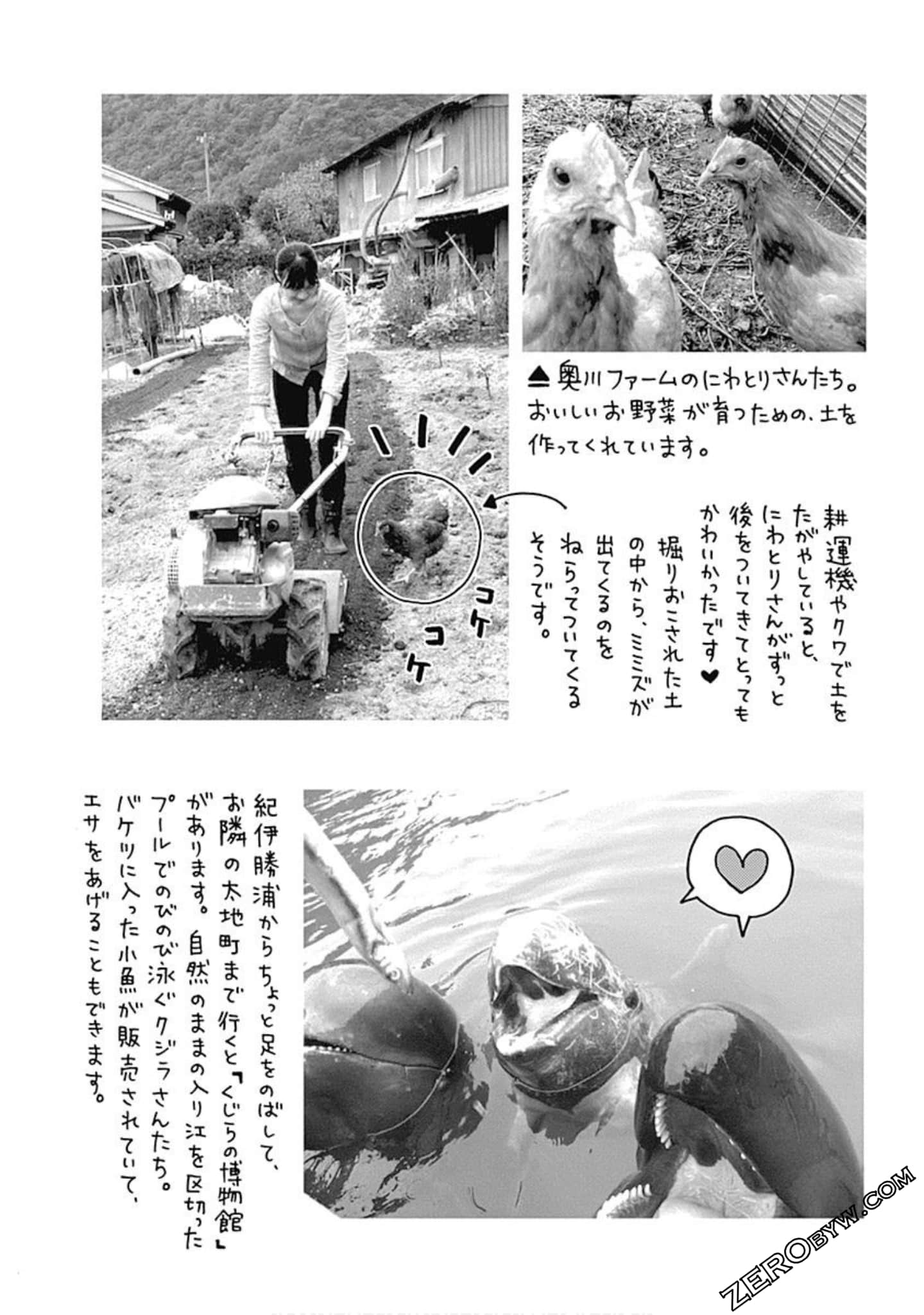 Page 198
