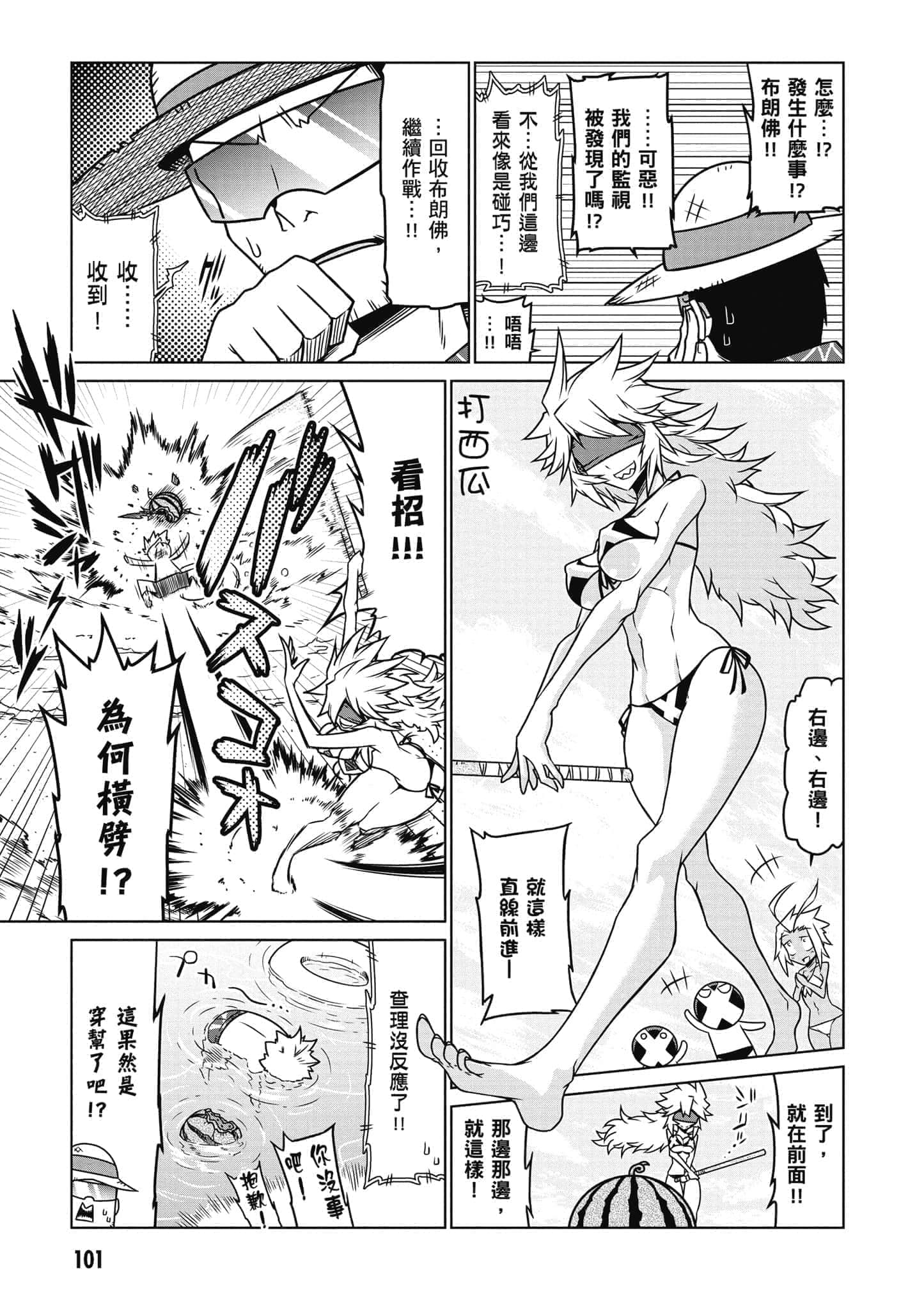 Page 102