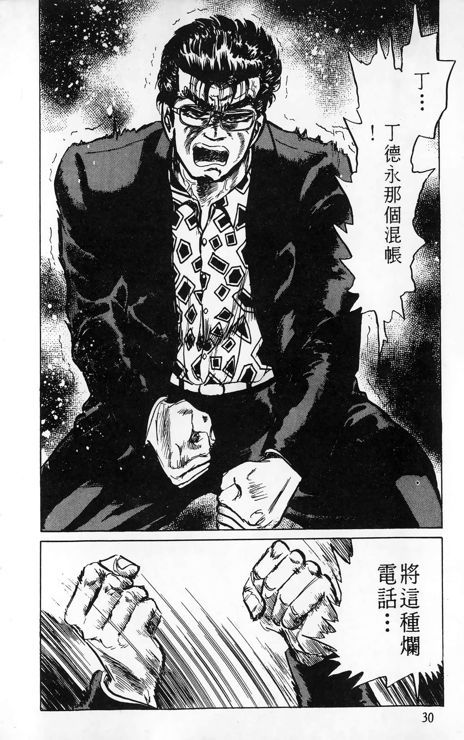 第 30 页