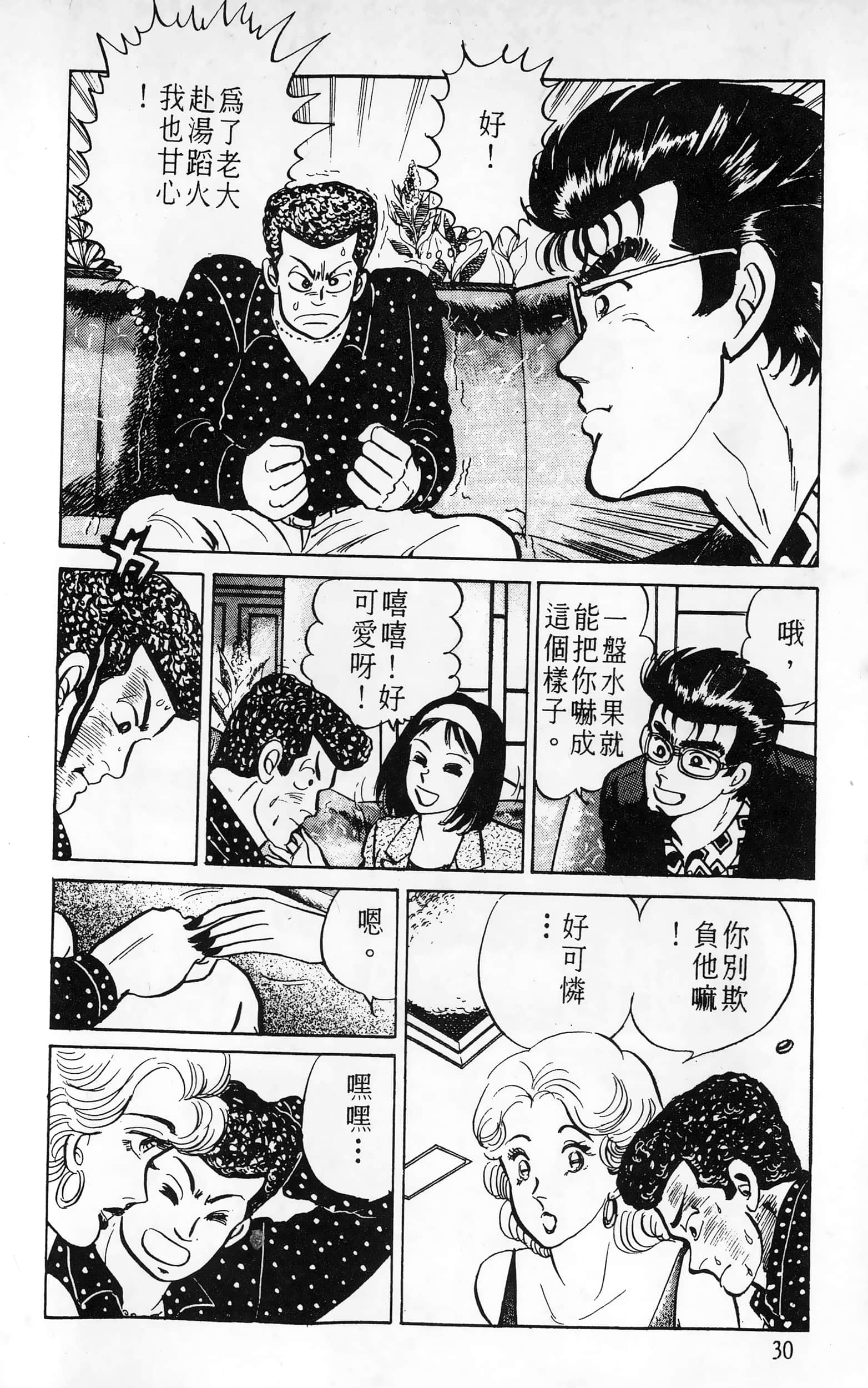 第 30 页