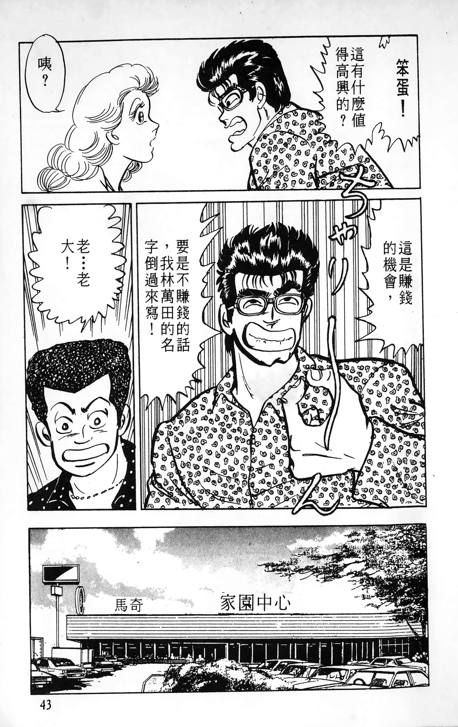 第 43 页