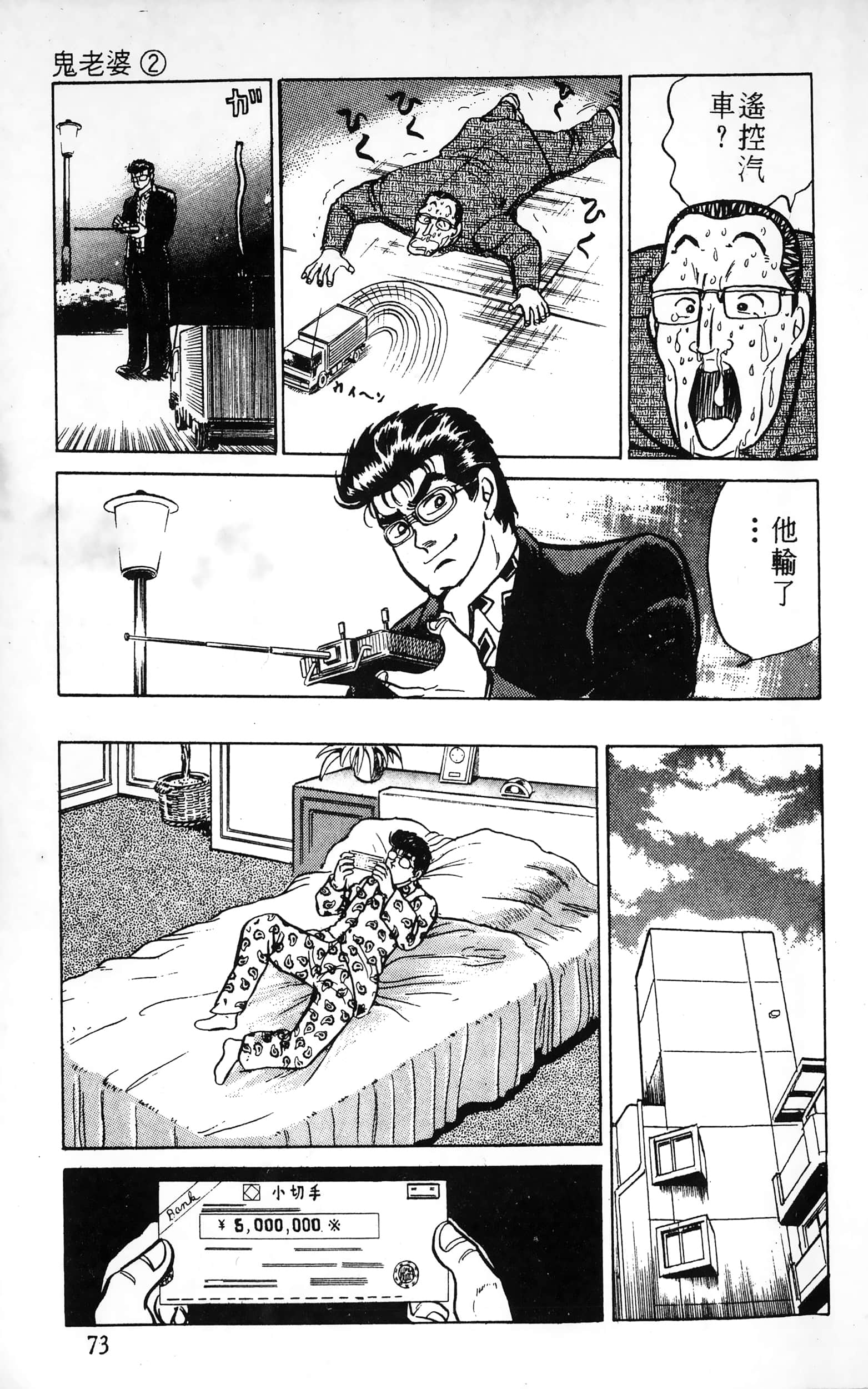 第 73 页