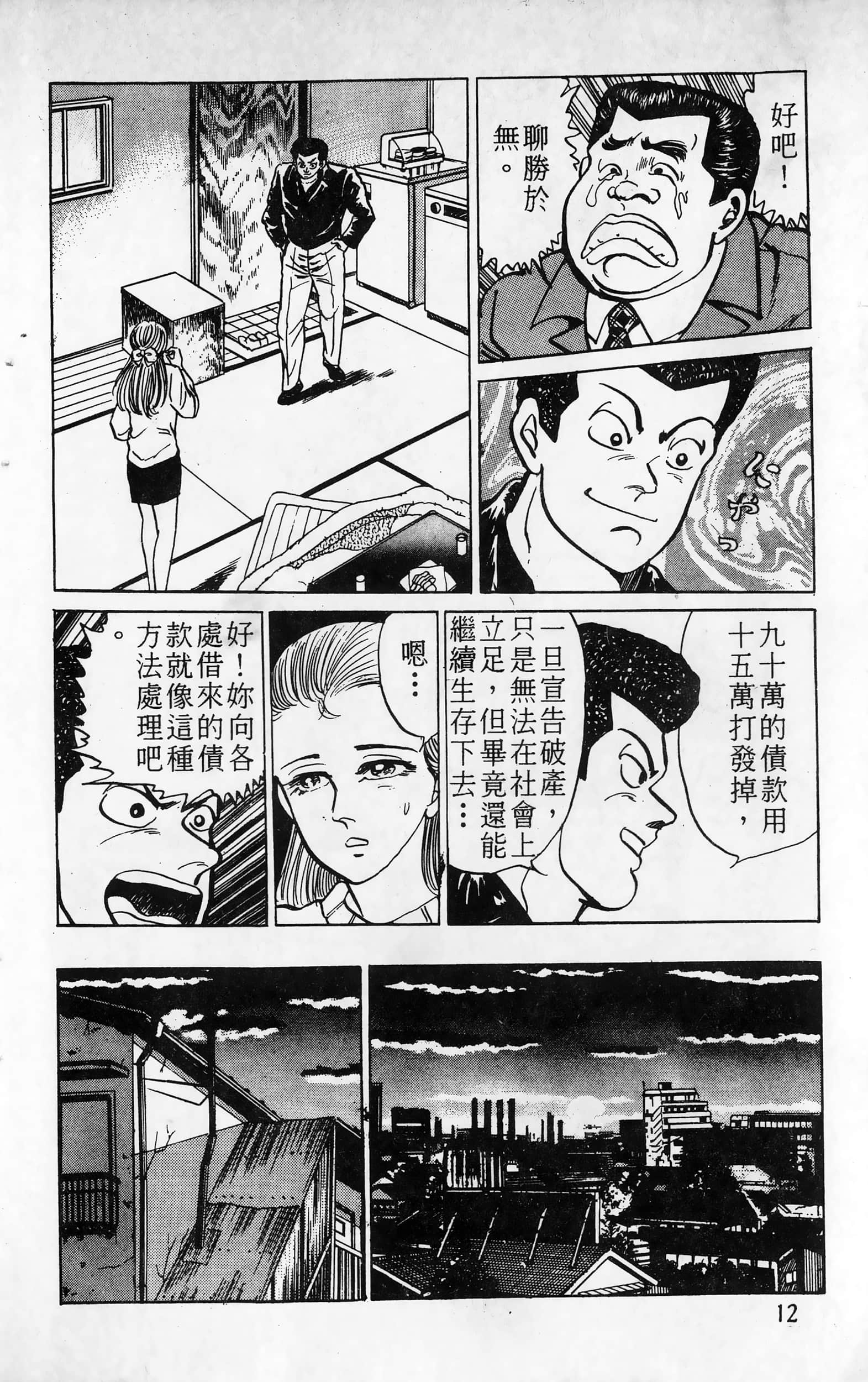 第 12 页