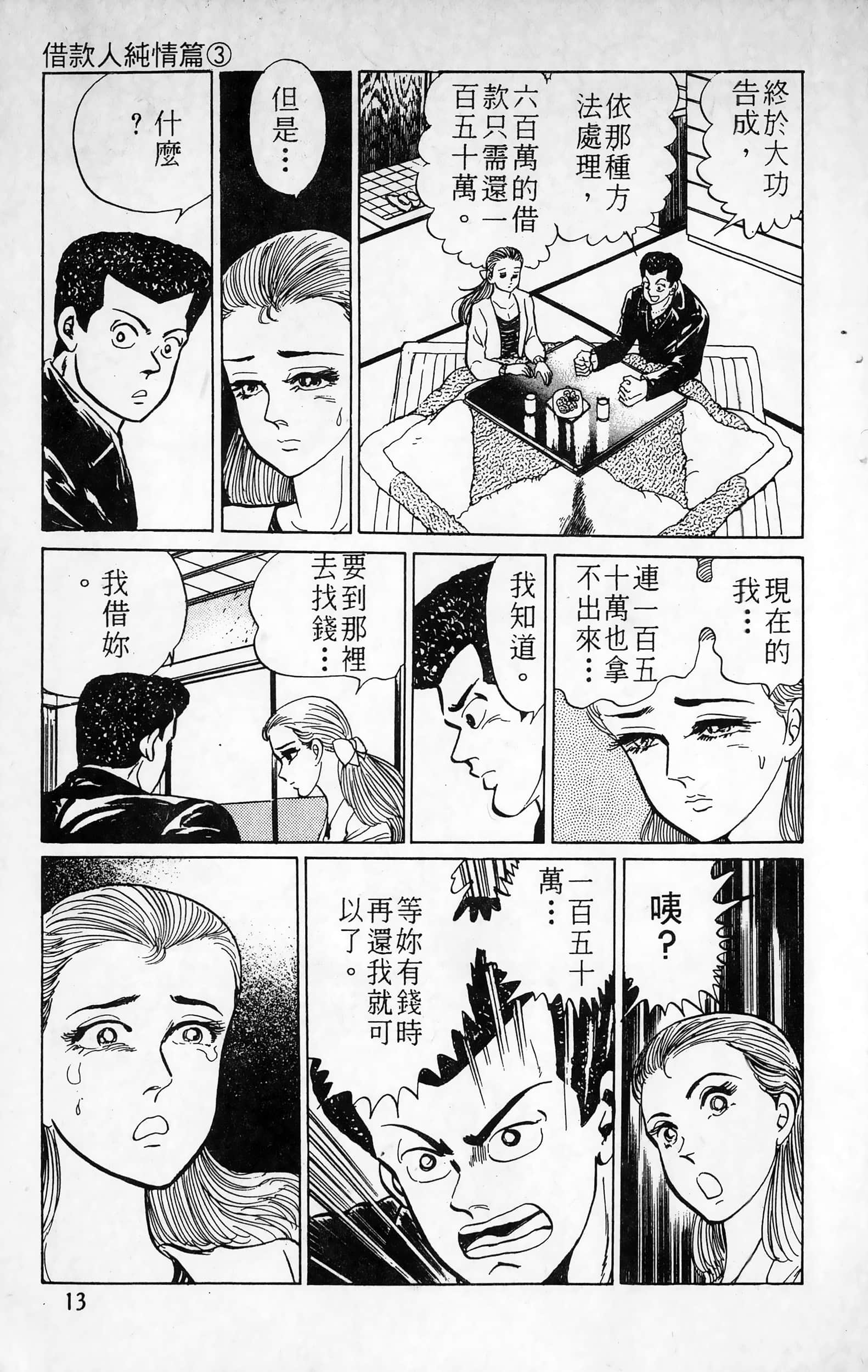 第 13 页