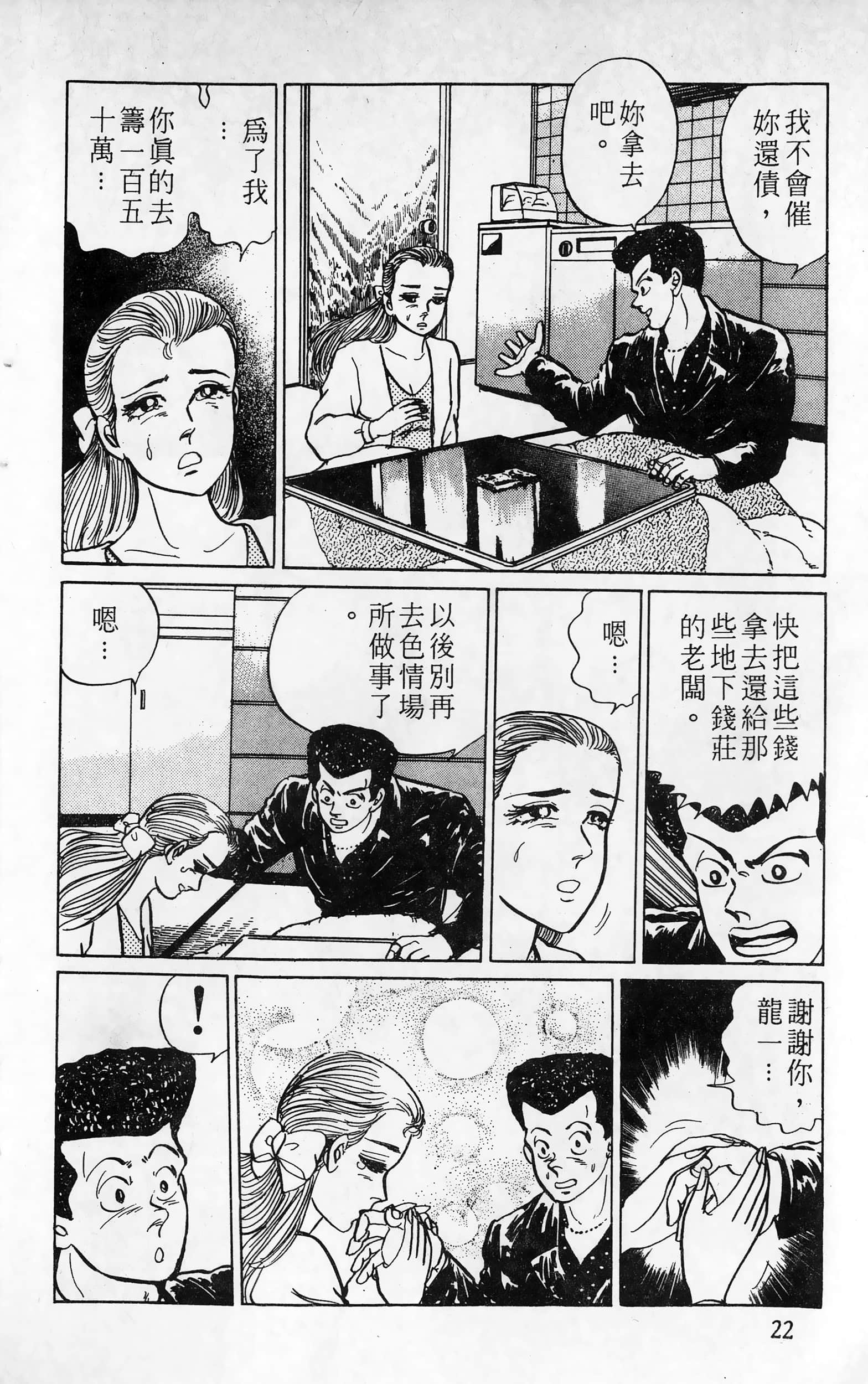 第 22 页