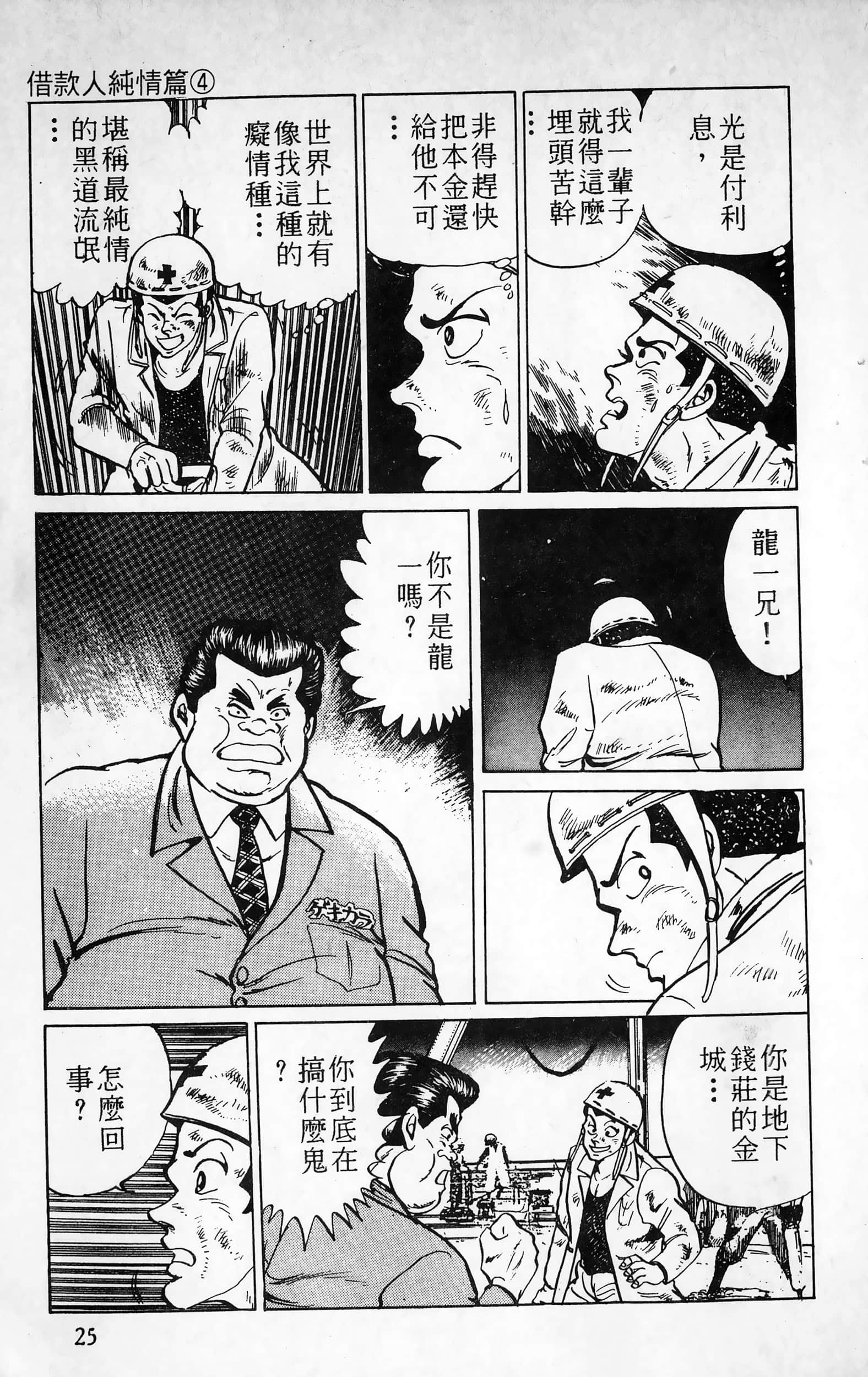 第 25 页