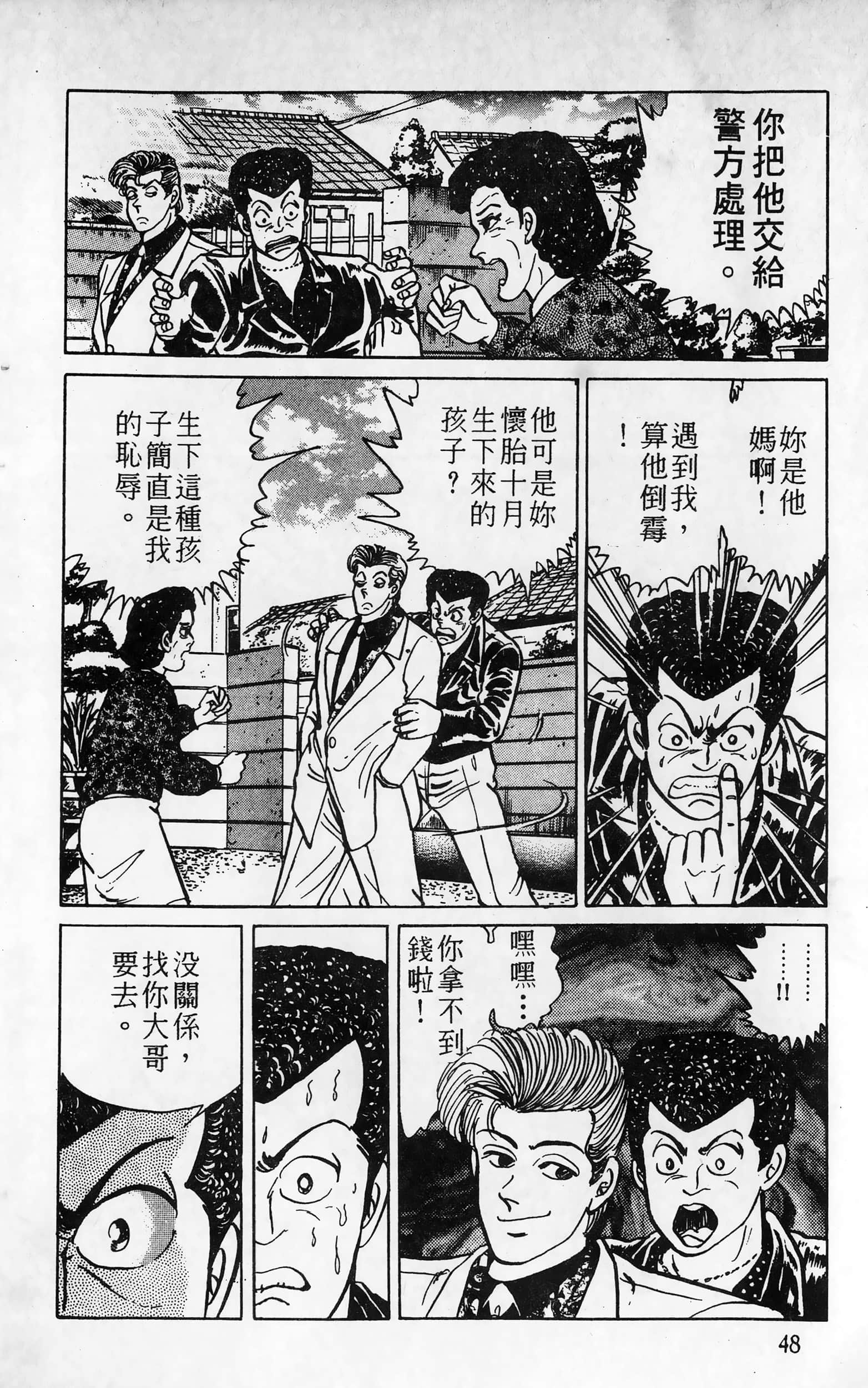 第 48 页