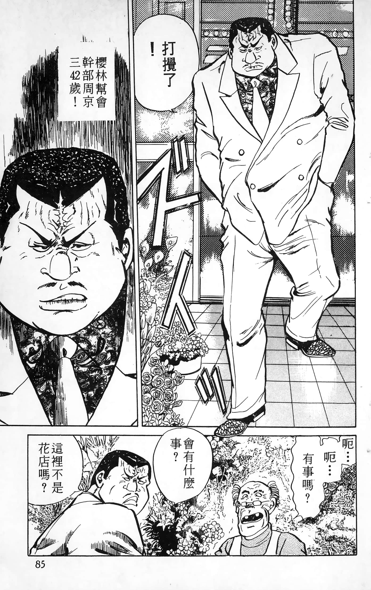 第 85 页