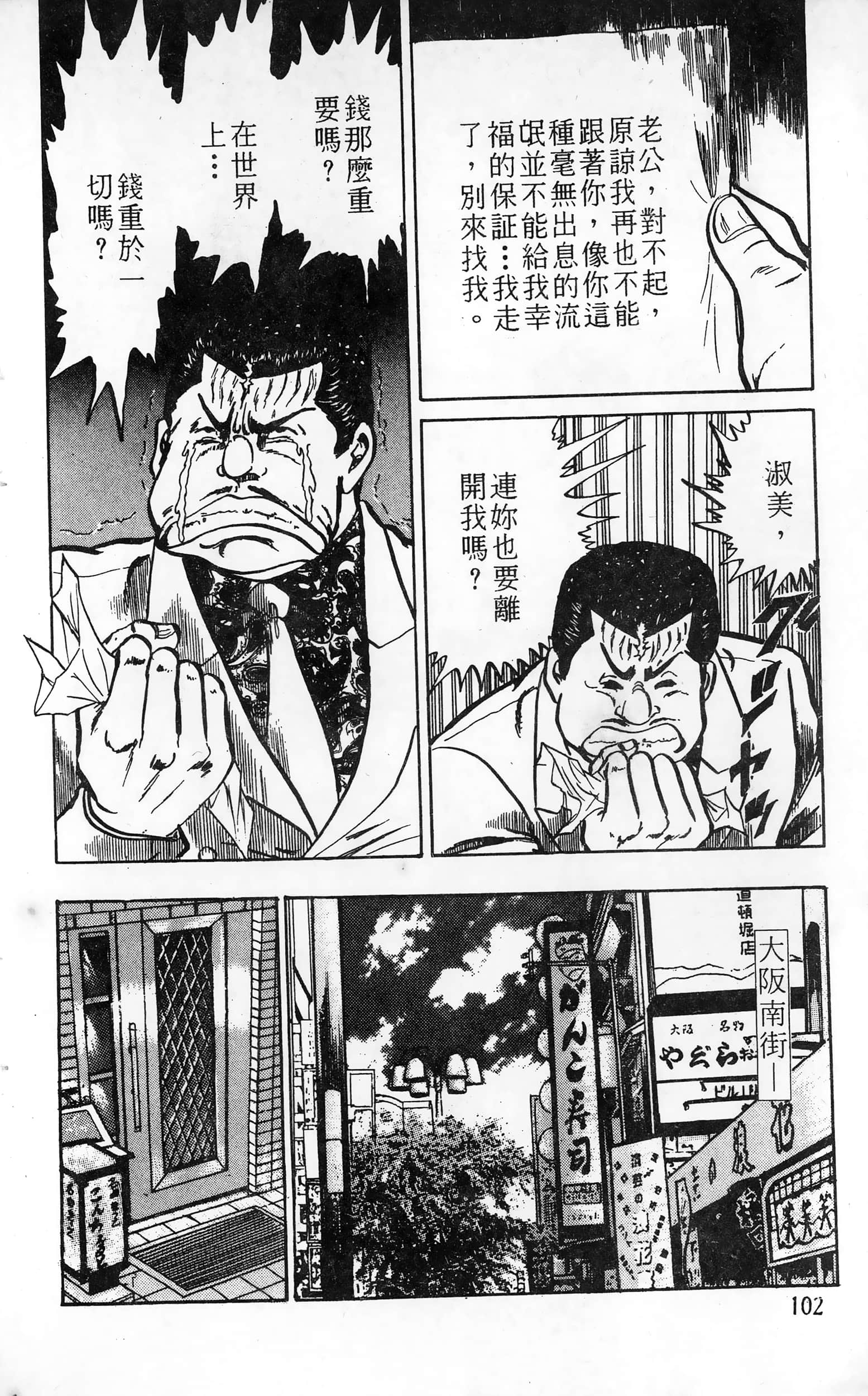 第 102 页