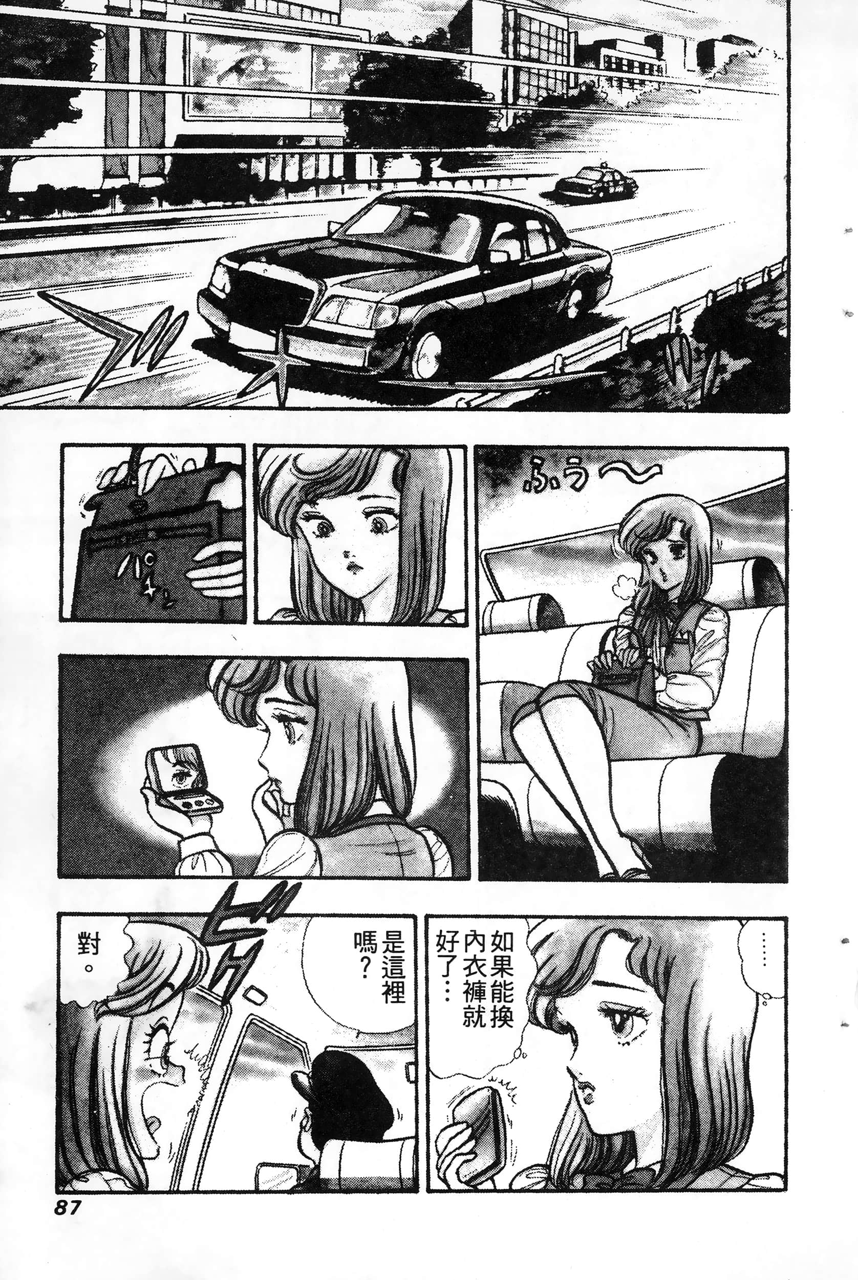 第 87 页