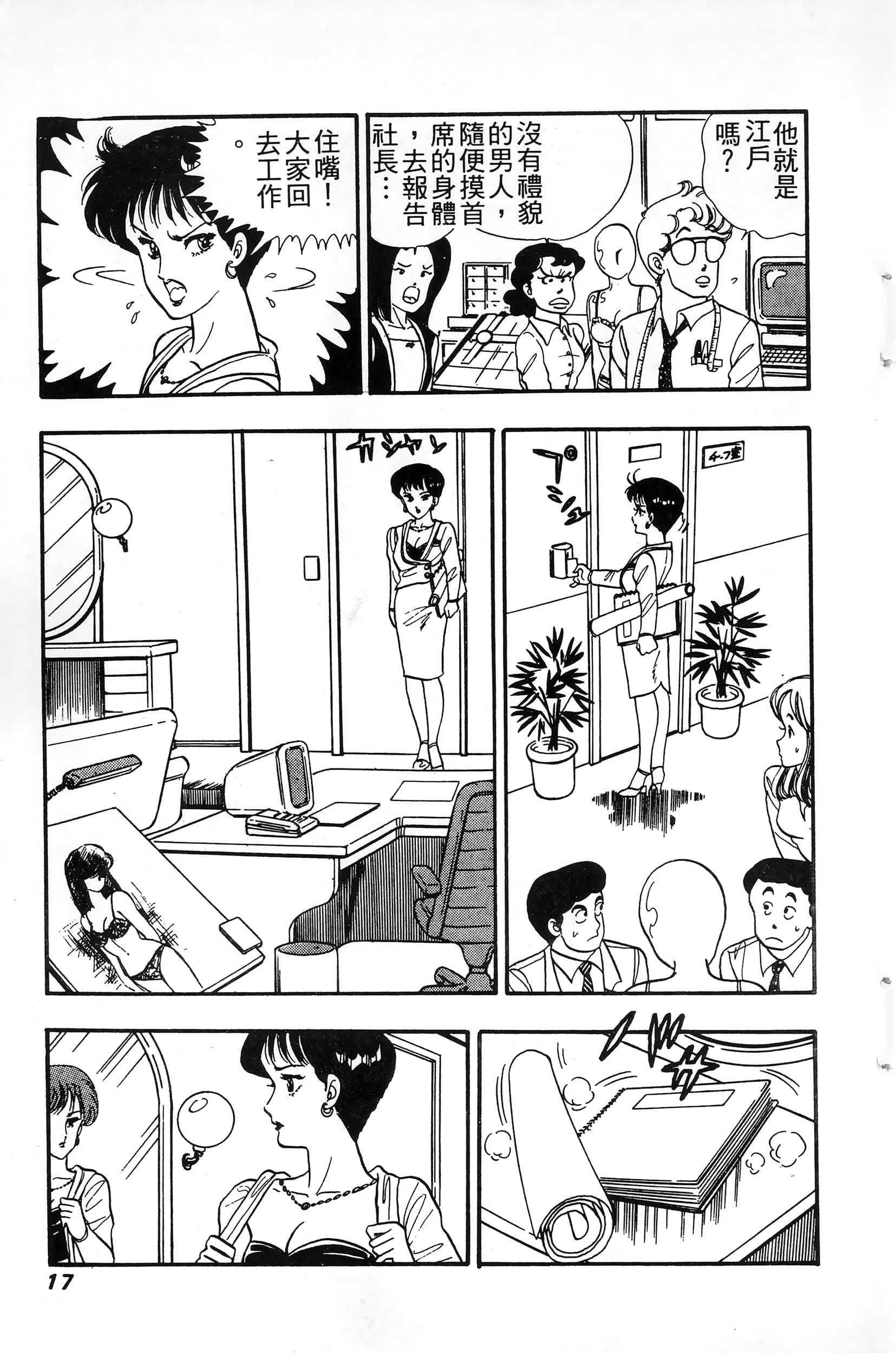 第 17 页